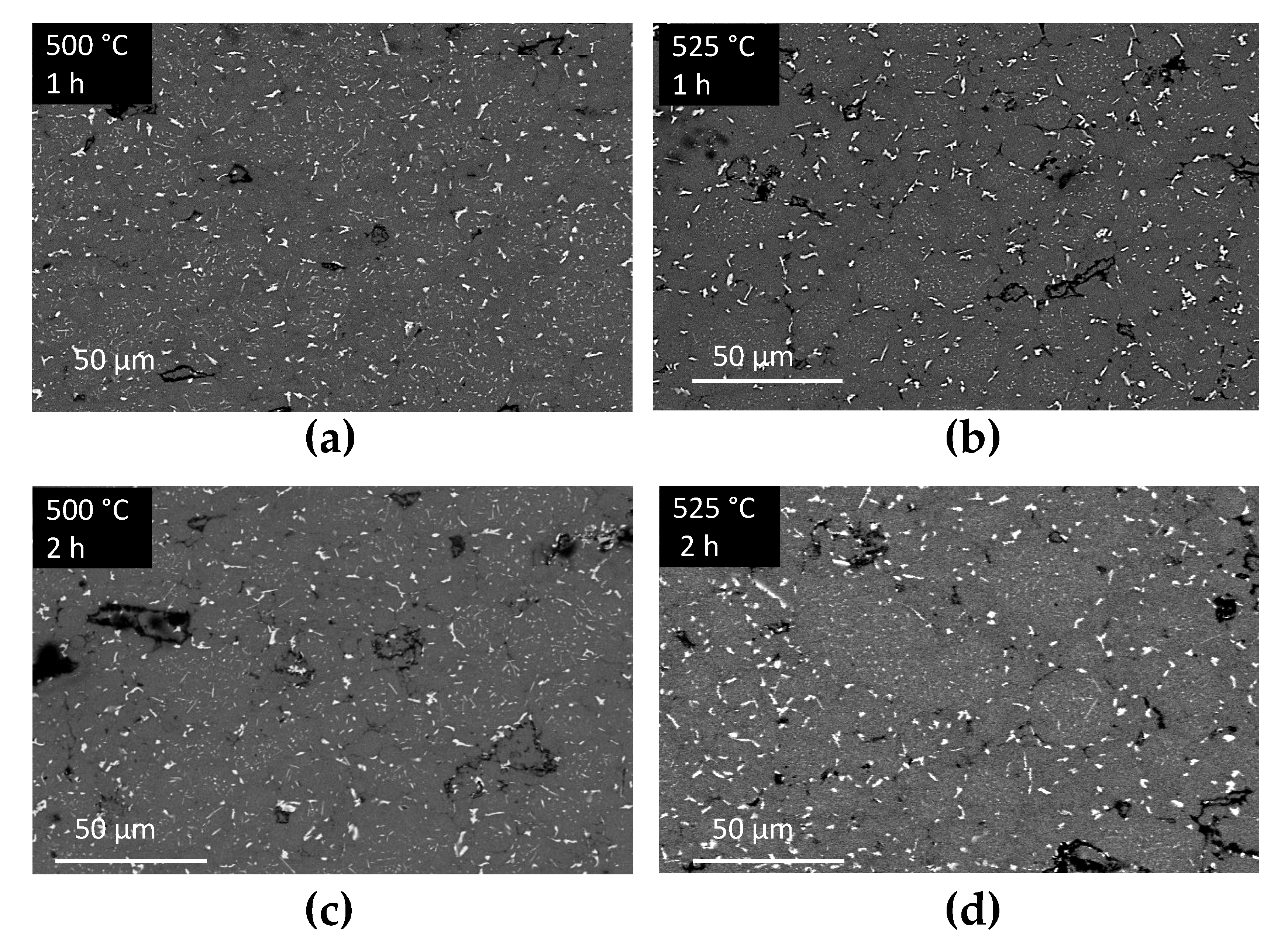 Metals 12 01046 g012