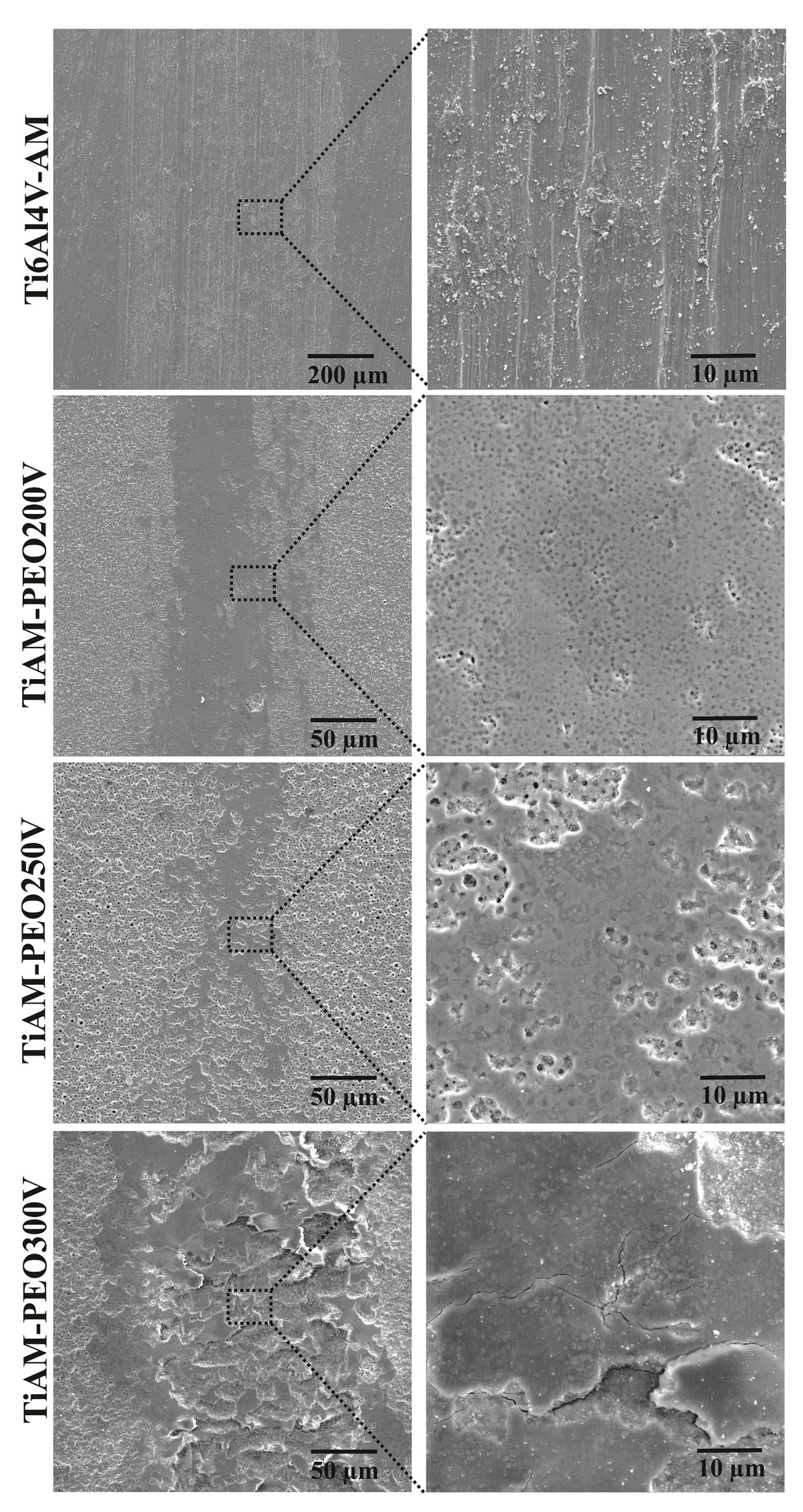 Metals 12 01070 g005