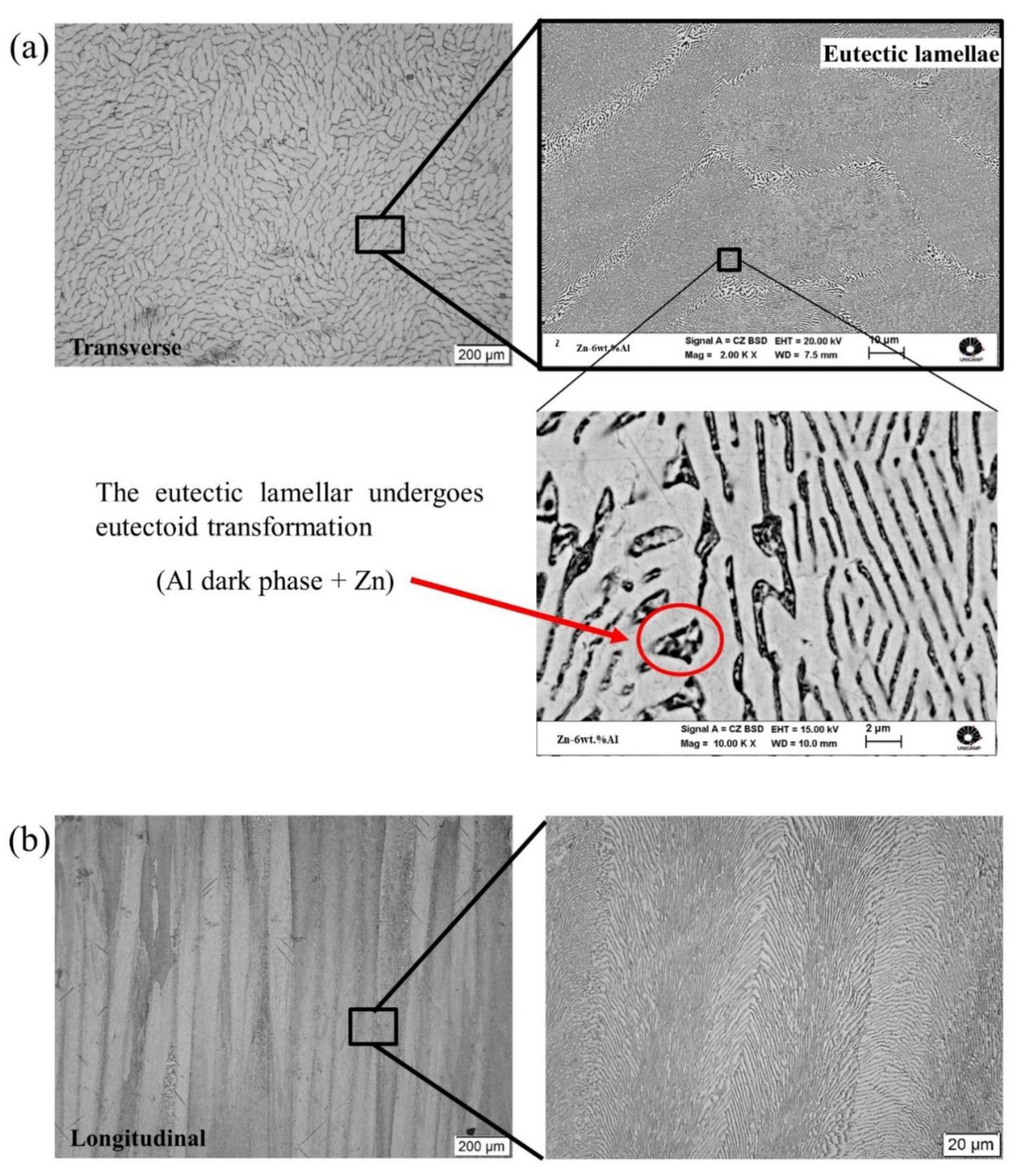 Metals 12 01076 g010