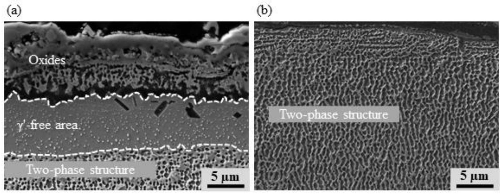 Metals 12 01081 g005