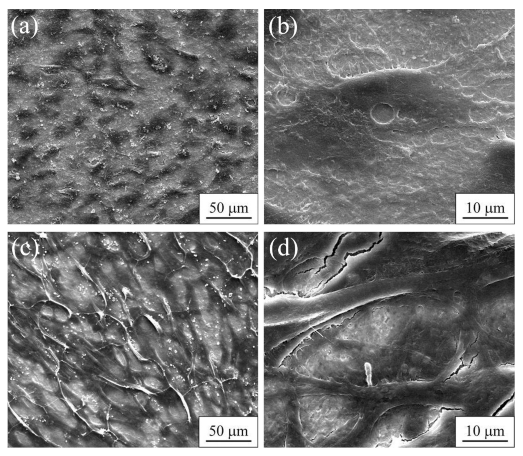 Metals 12 01136 g021