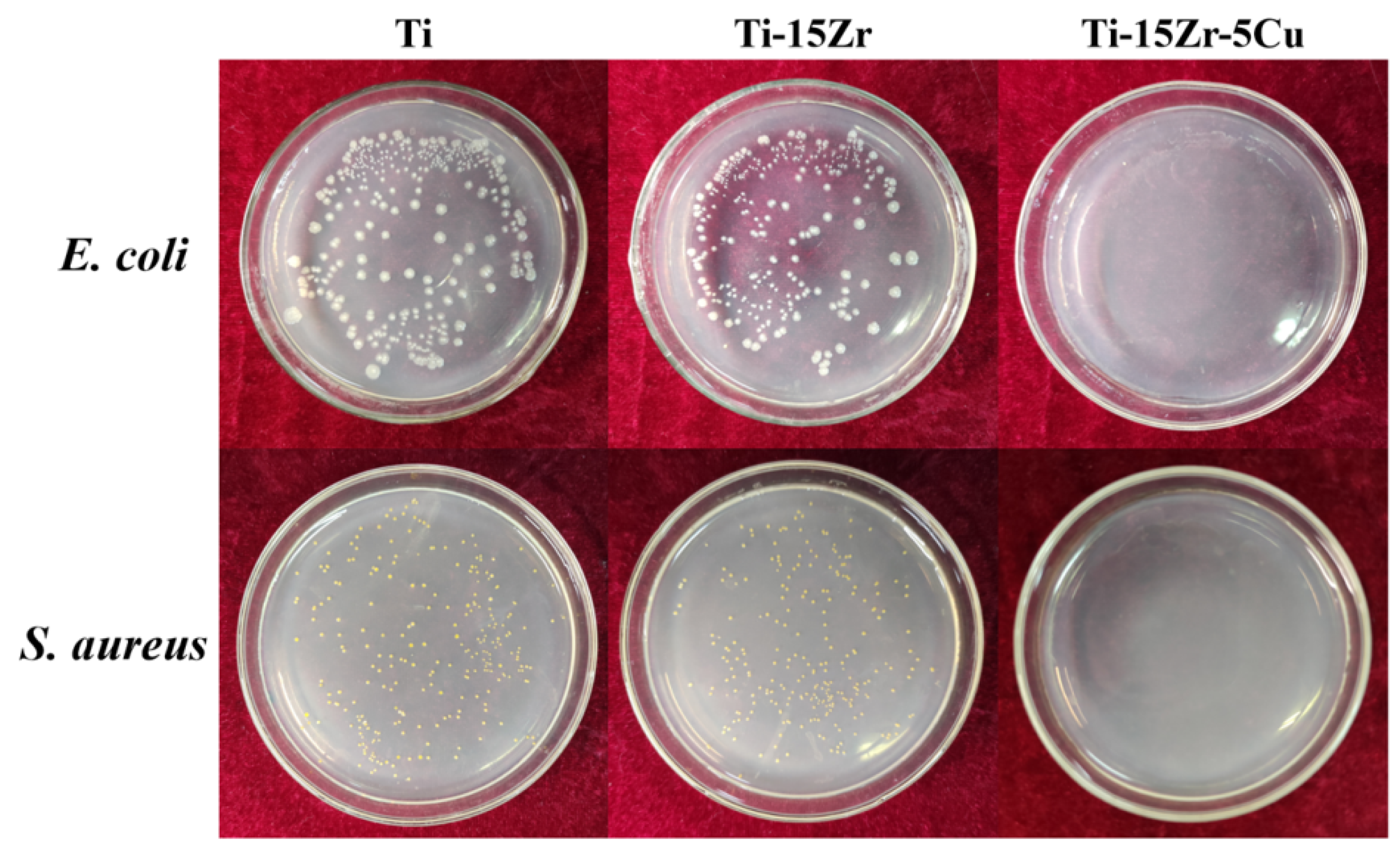 Metals 12 01144 g007