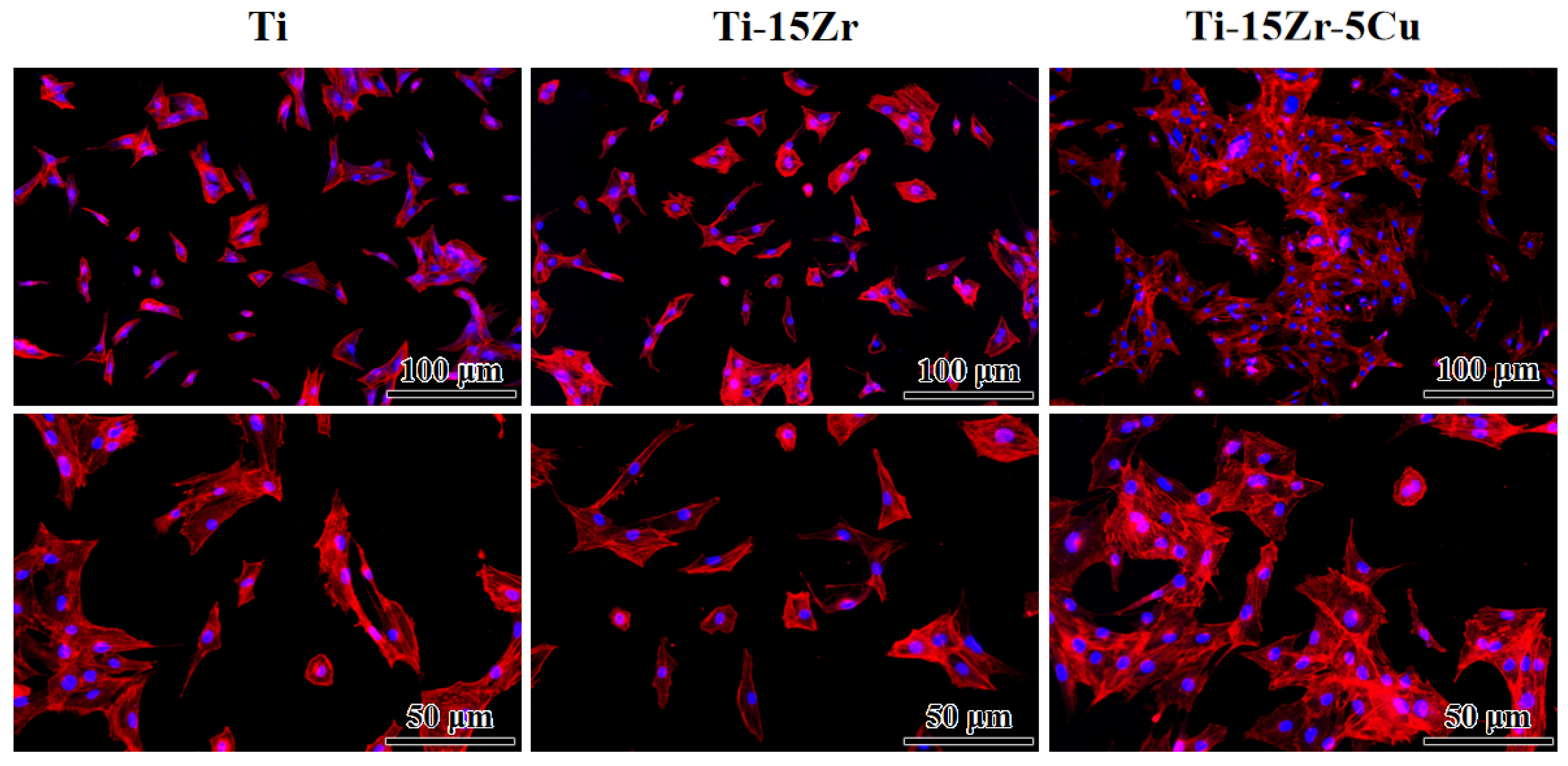 Metals 12 01144 g009
