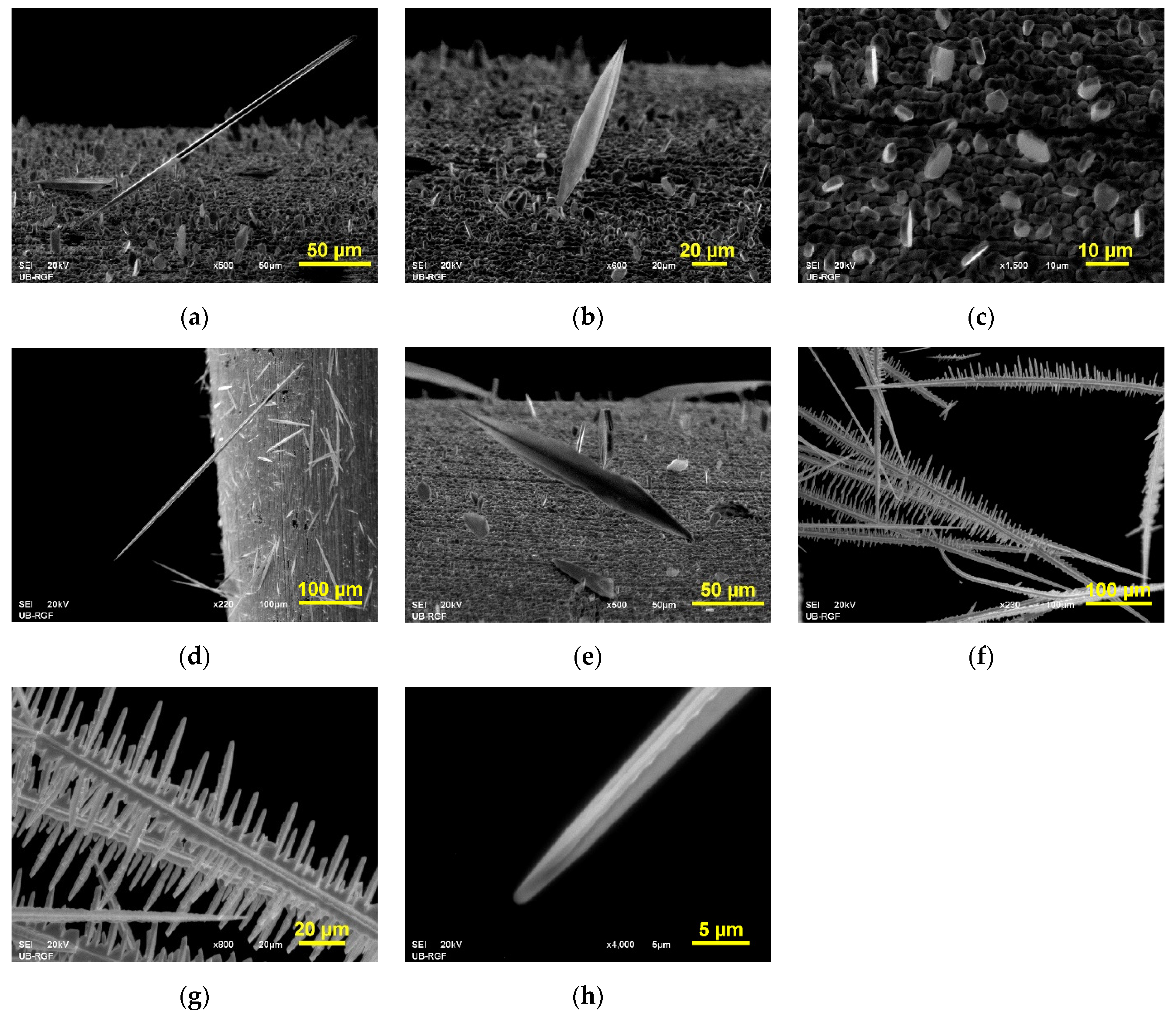 Metals 12 01201 g003