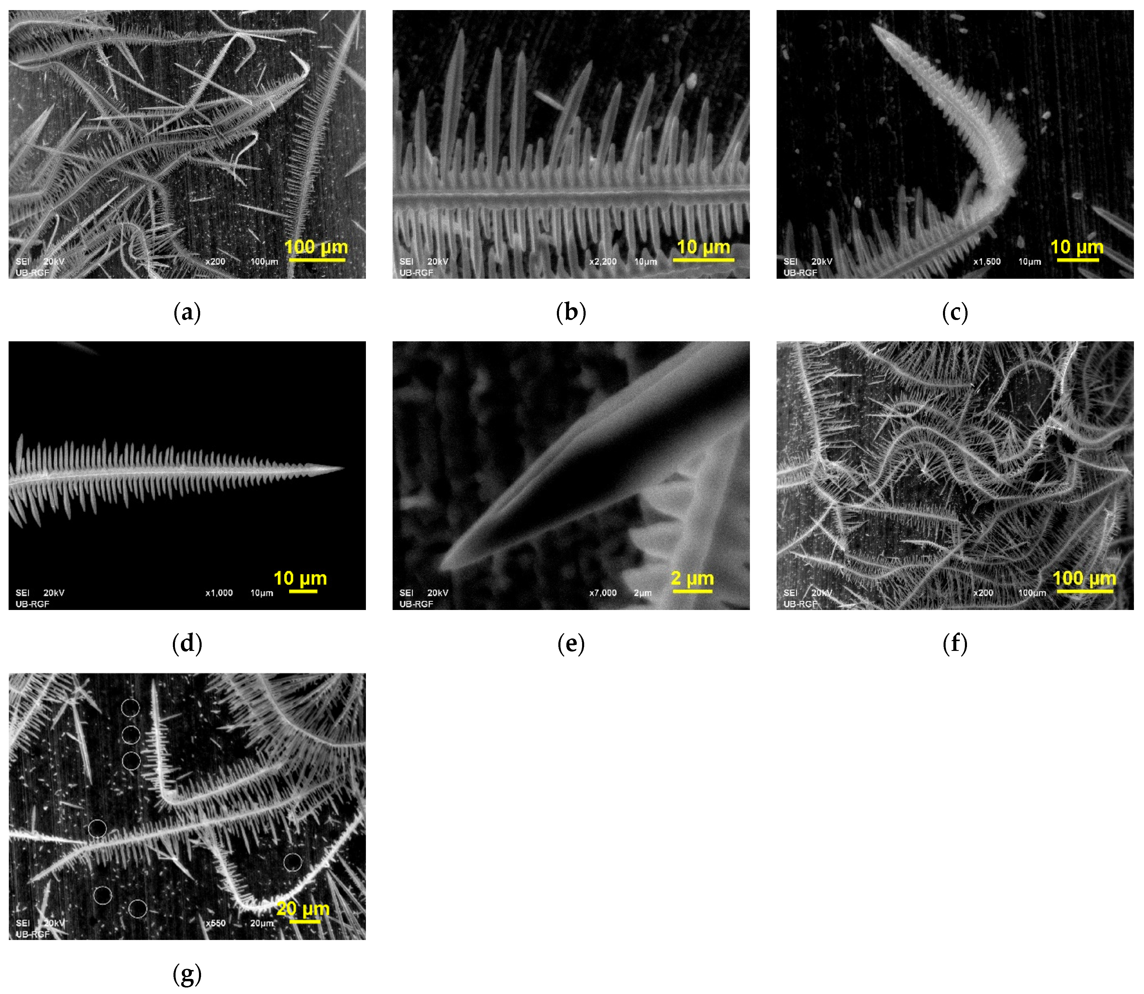 Metals 12 01201 g004