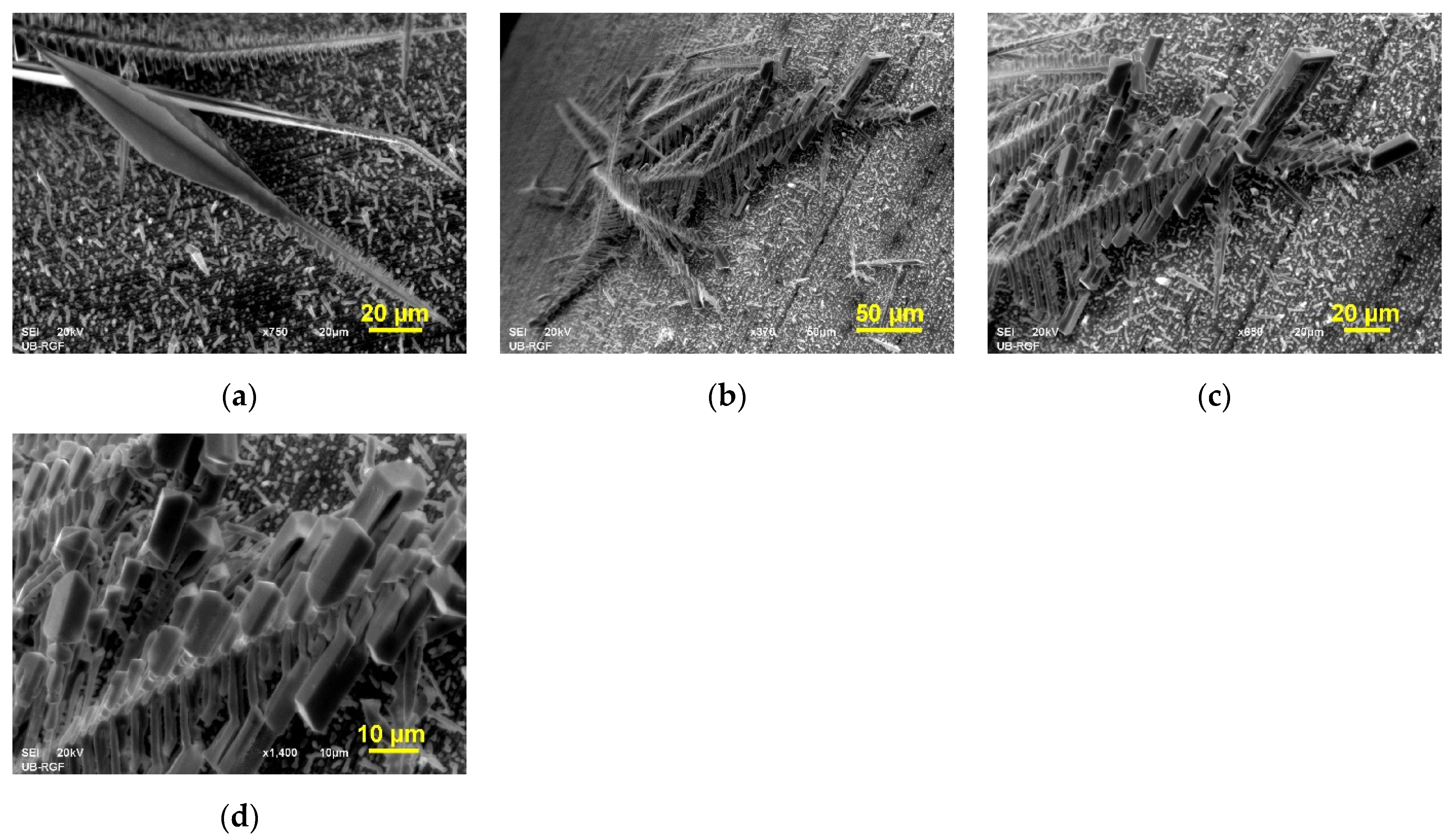 Metals 12 01201 g006