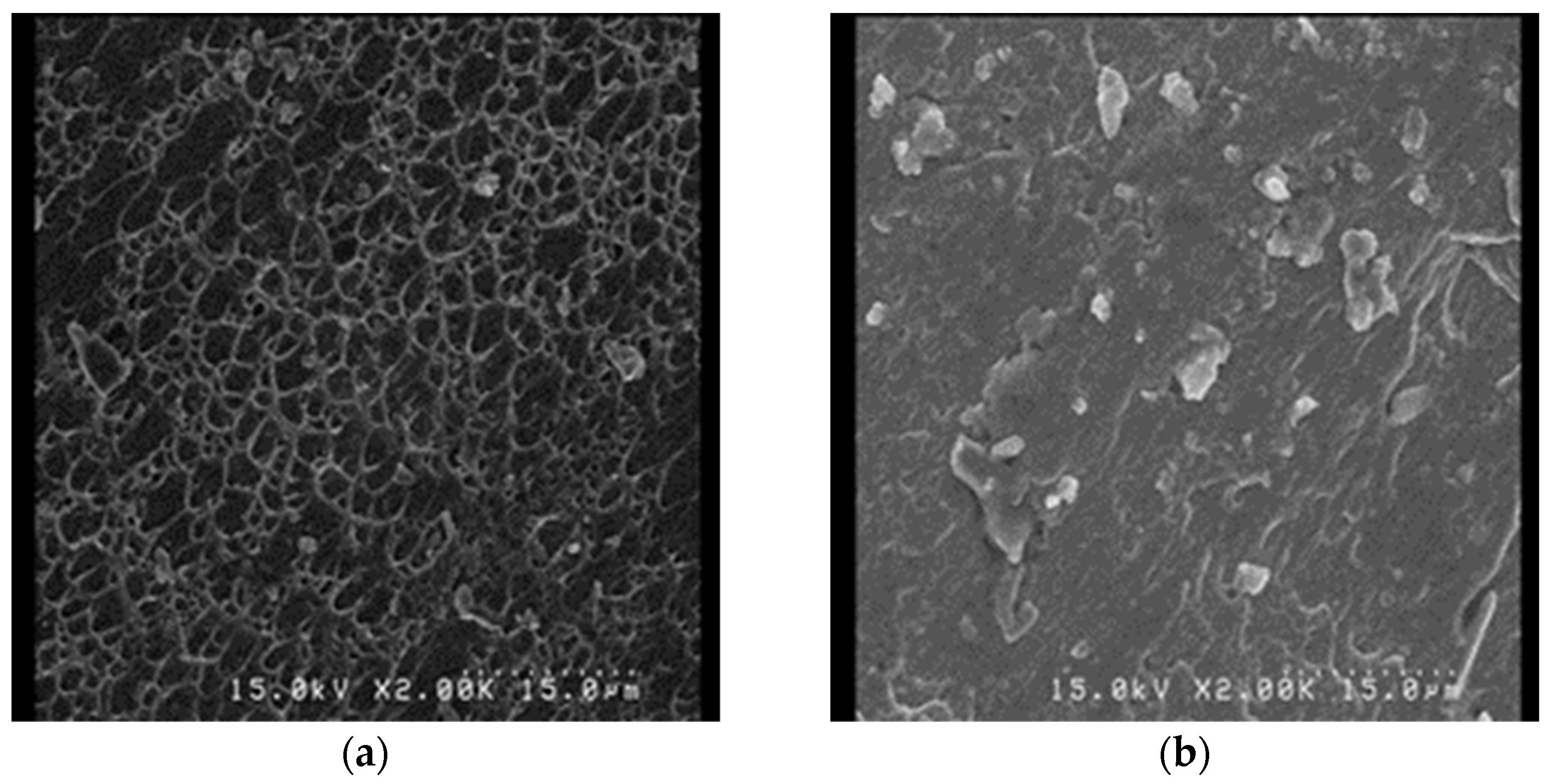 Metals 12 01213 g005