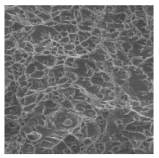 Metals 12 01213 i039