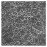 Metals 12 01213 i040