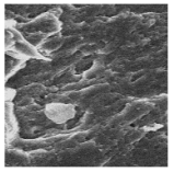 Metals 12 01213 i044