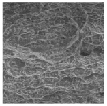 Metals 12 01213 i047