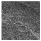 Metals 12 01213 i048