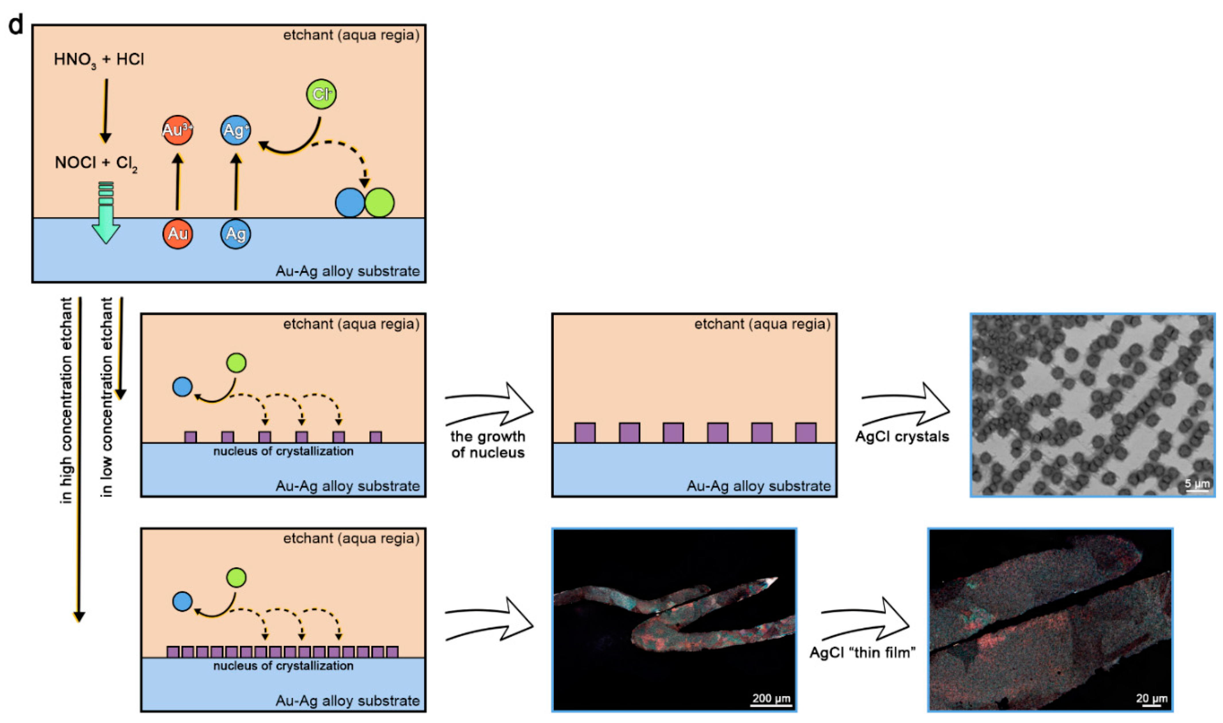 Metals 12 01229 g002b