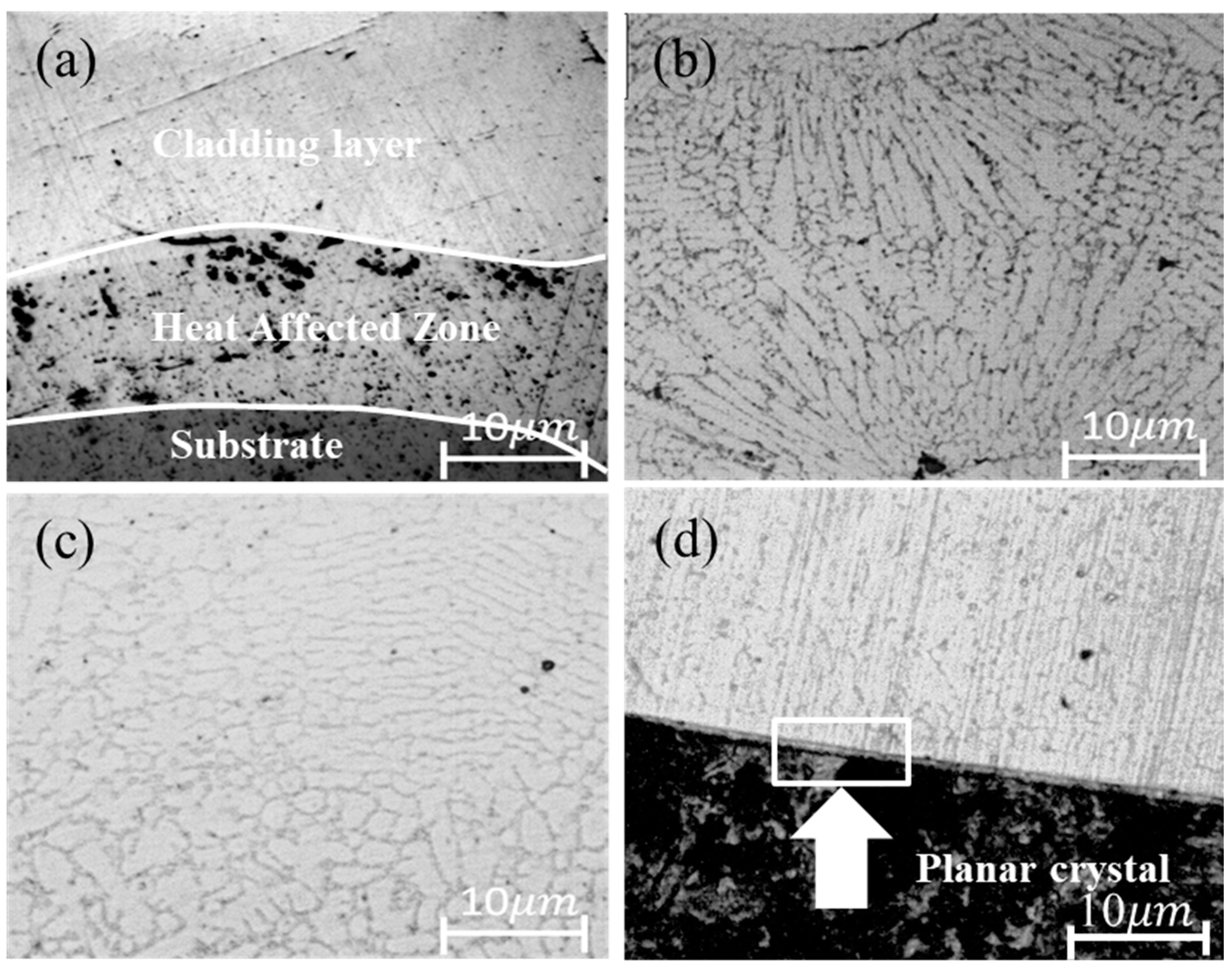 Metals 12 01230 g004
