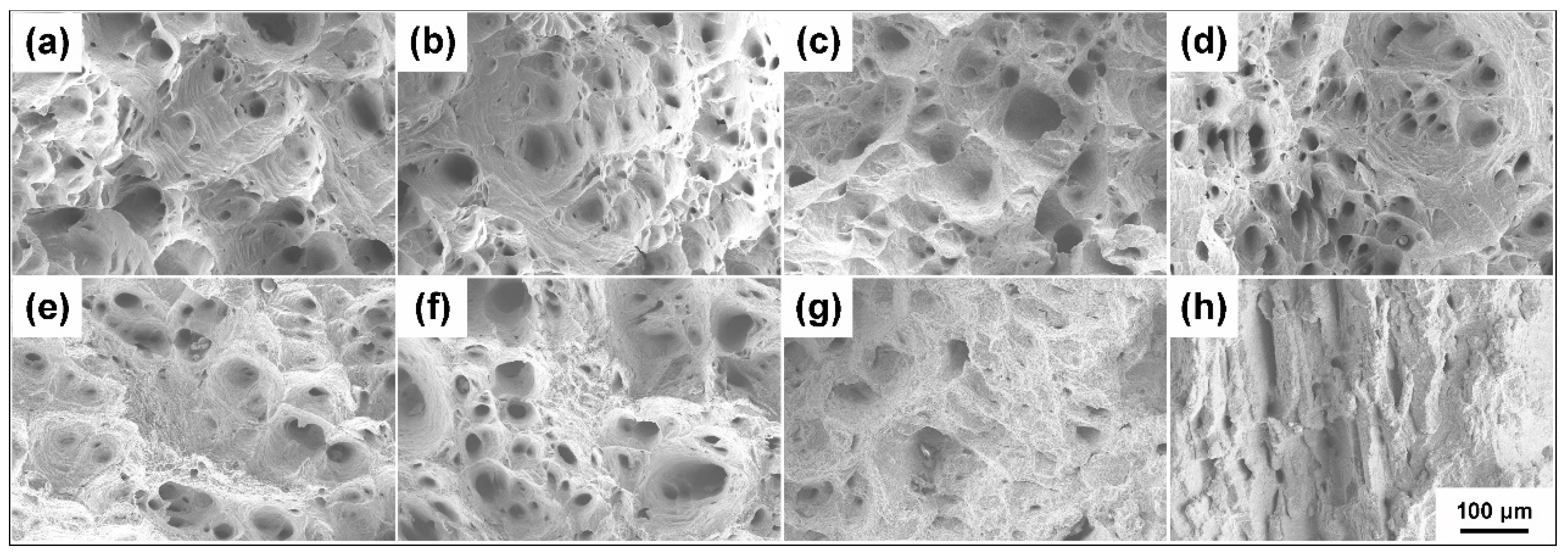 Metals 12 01319 g010