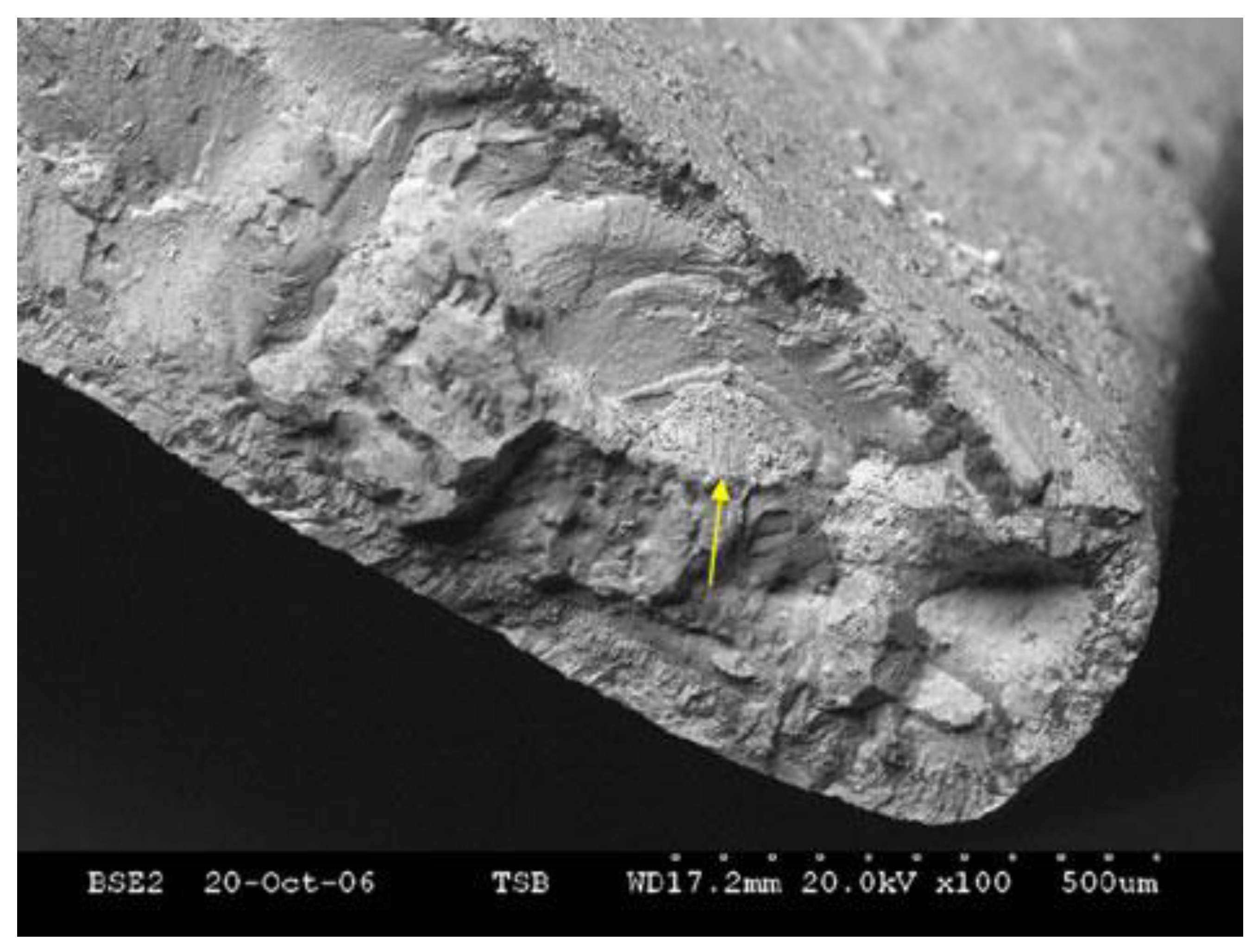 Metals 12 01320 g006