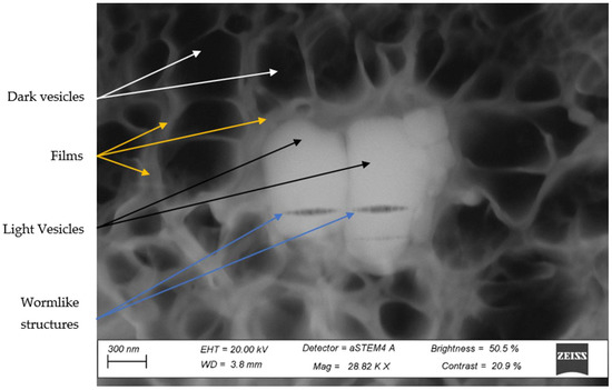 Metals 12 01400 g0a2 550