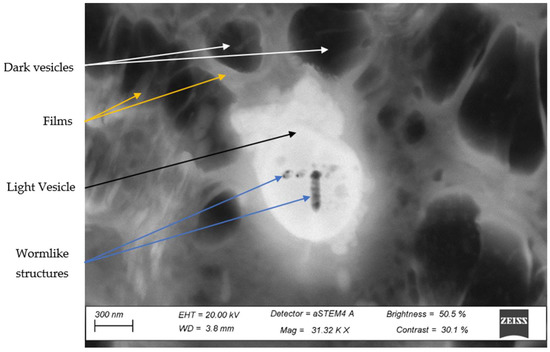 Metals 12 01400 g0a3 550