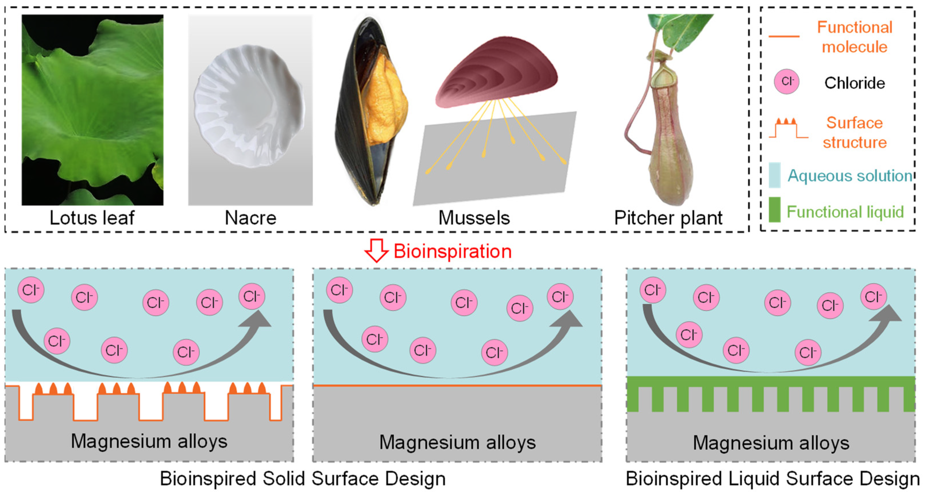 Metals 12 01404 g001