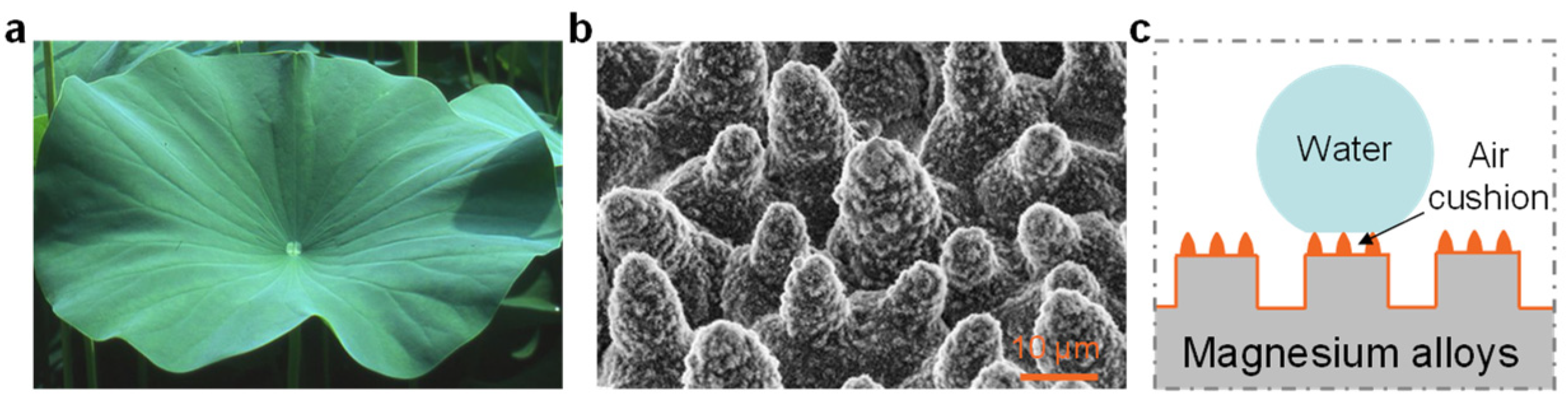 Metals 12 01404 g003