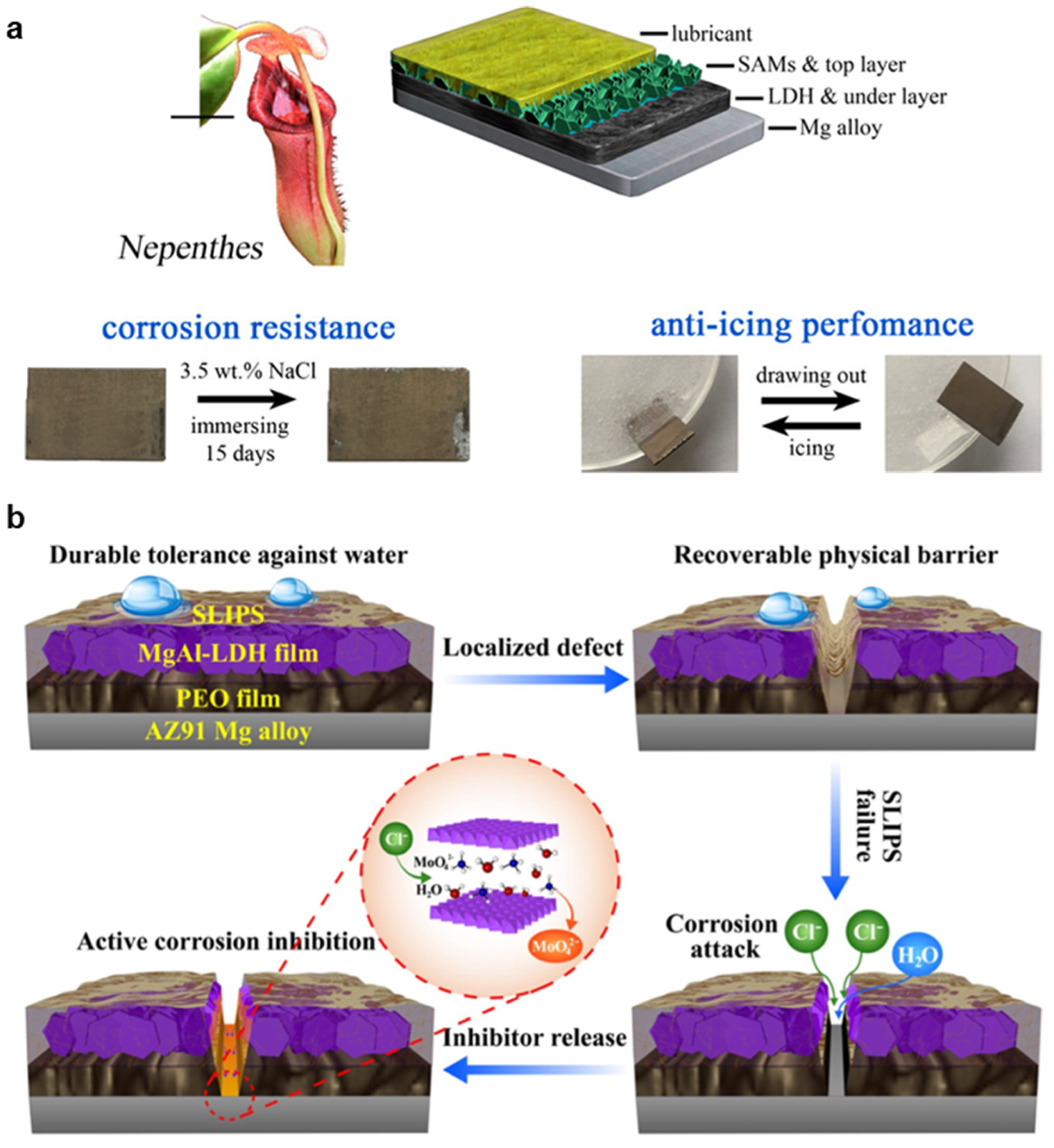 Metals 12 01404 g011