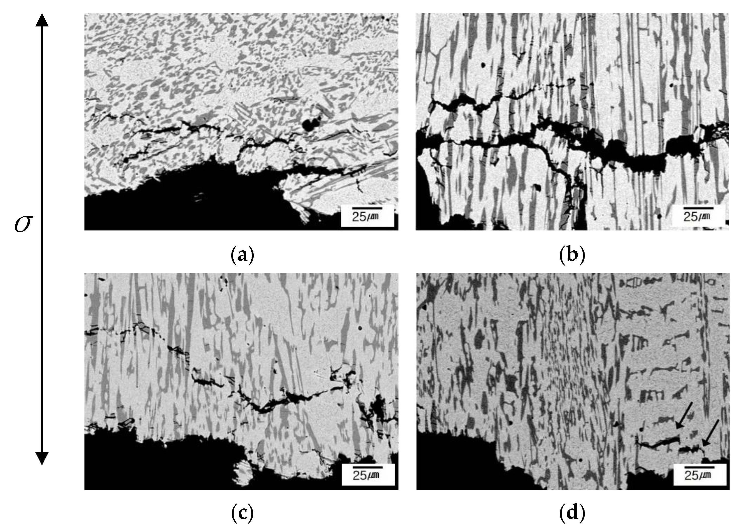Metals 12 01416 g008