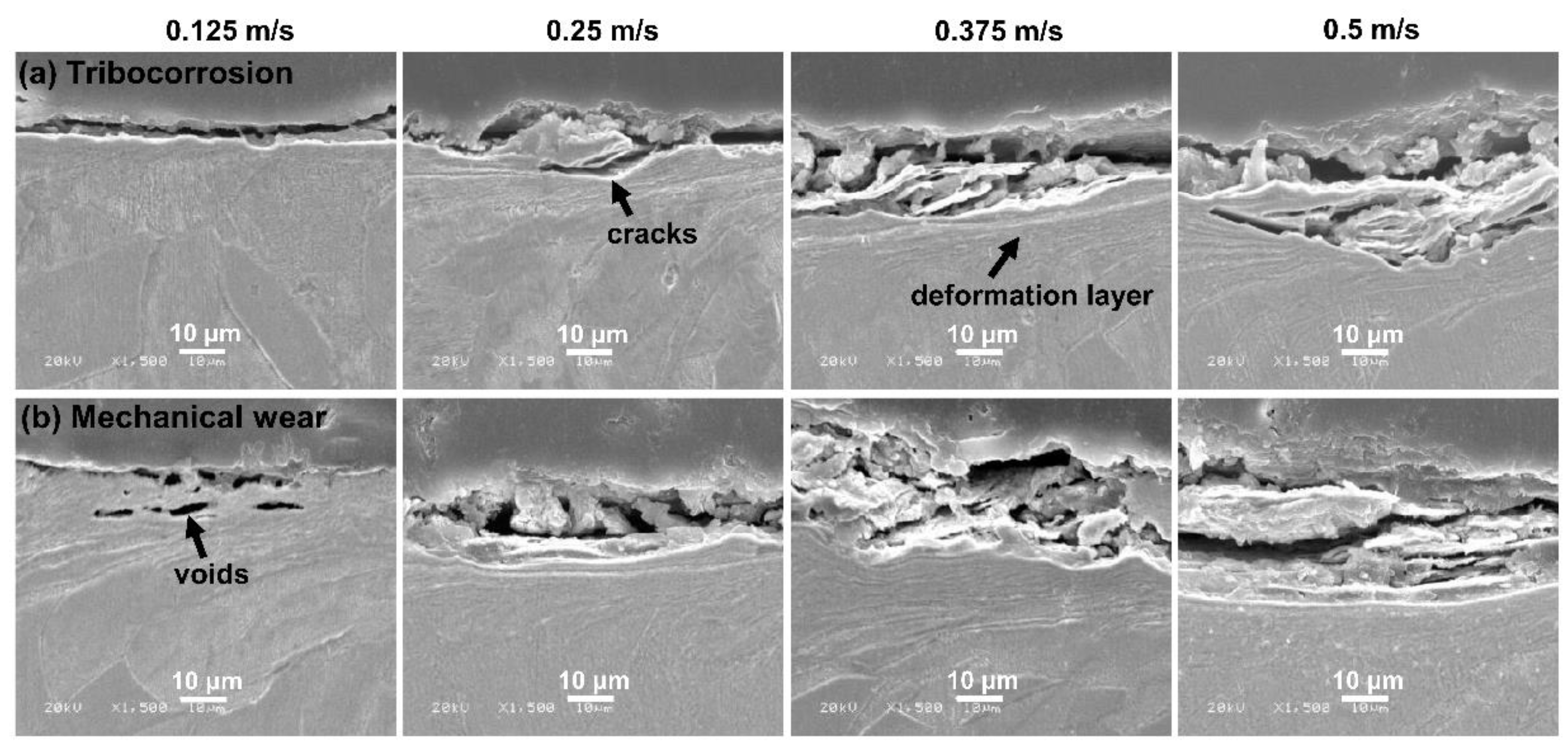 Metals 12 01503 g006