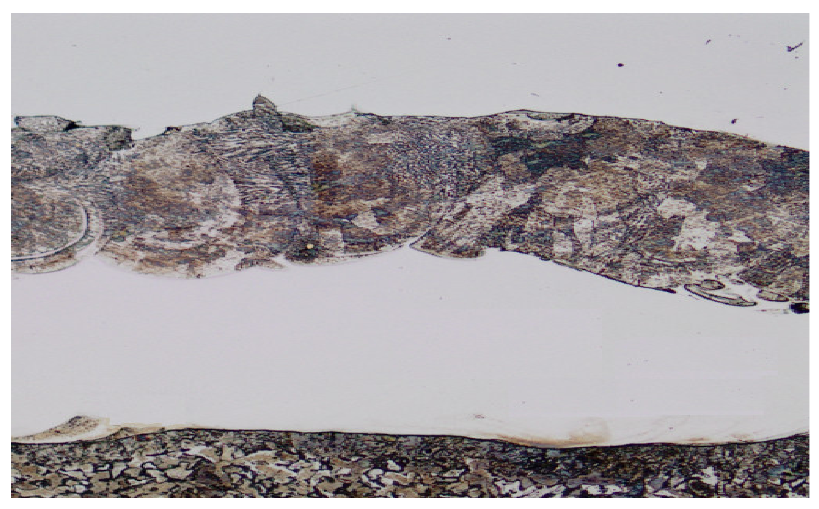 Metals 12 01566 g014 Metals 12 01566 g014