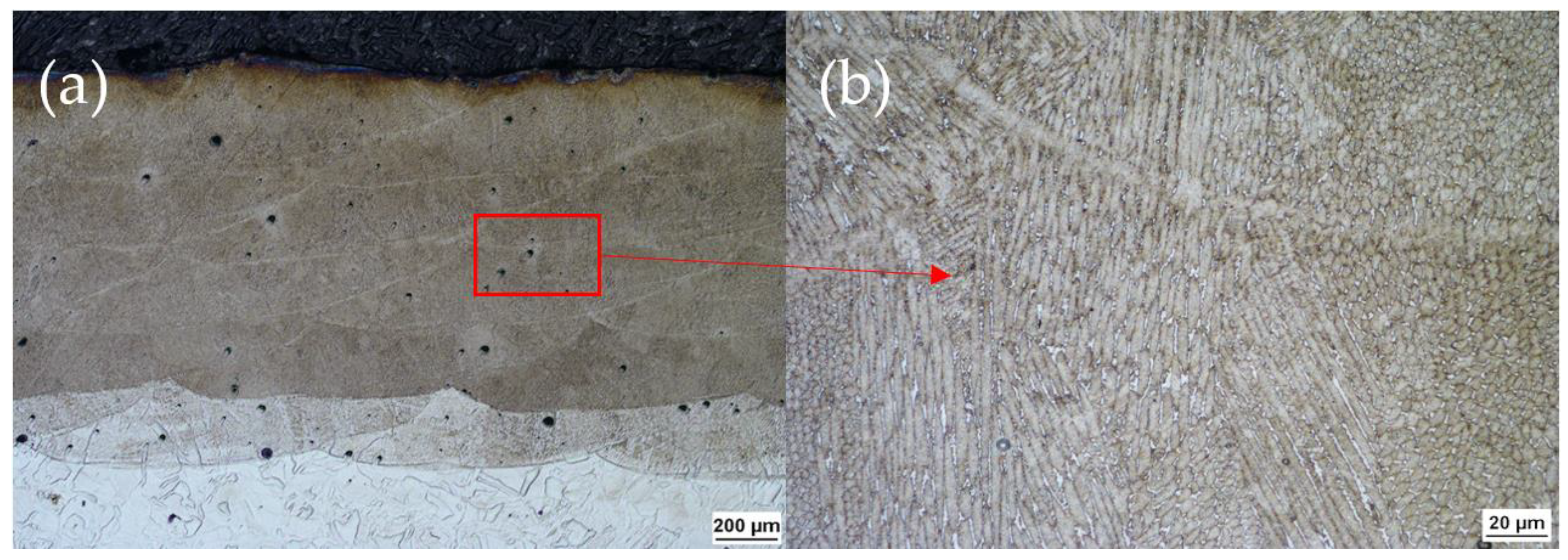 Metals 12 01669 g010 Metals 12 01669 g010