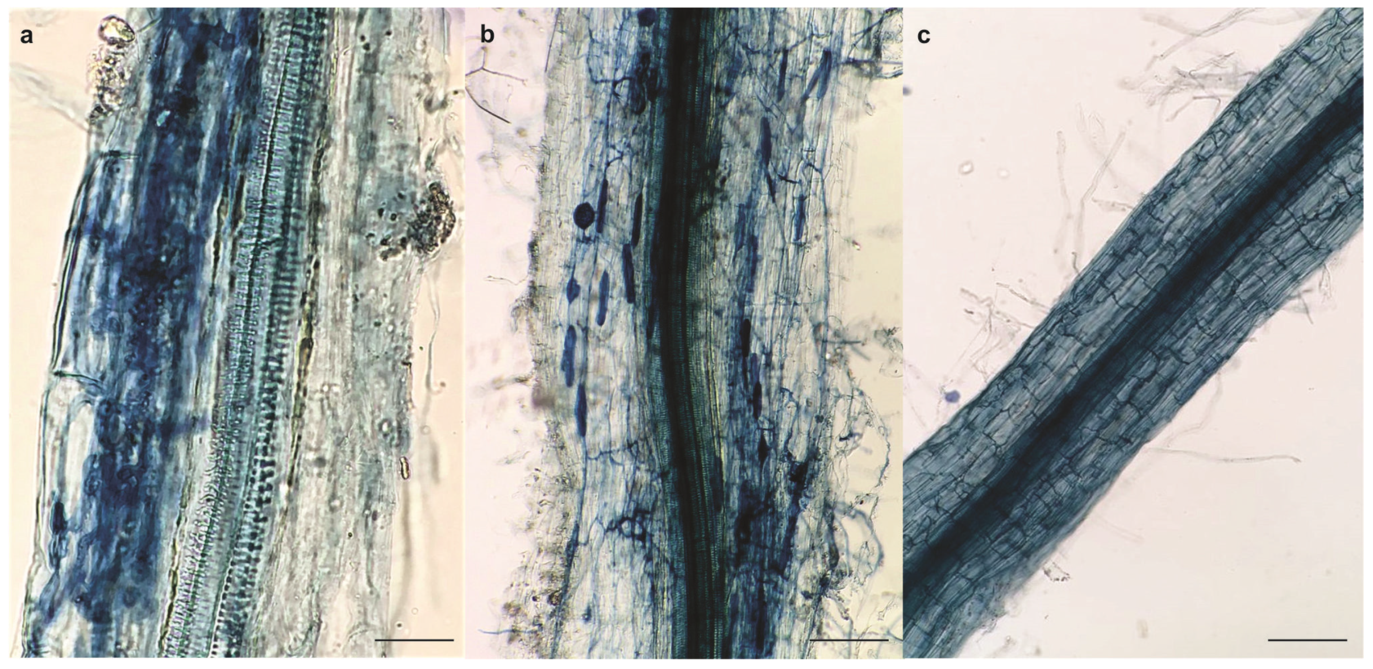 Metals 12 01828 g003