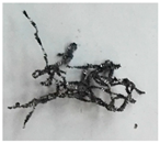 Metals 12 01905 i001 Metals 12 01905 i001