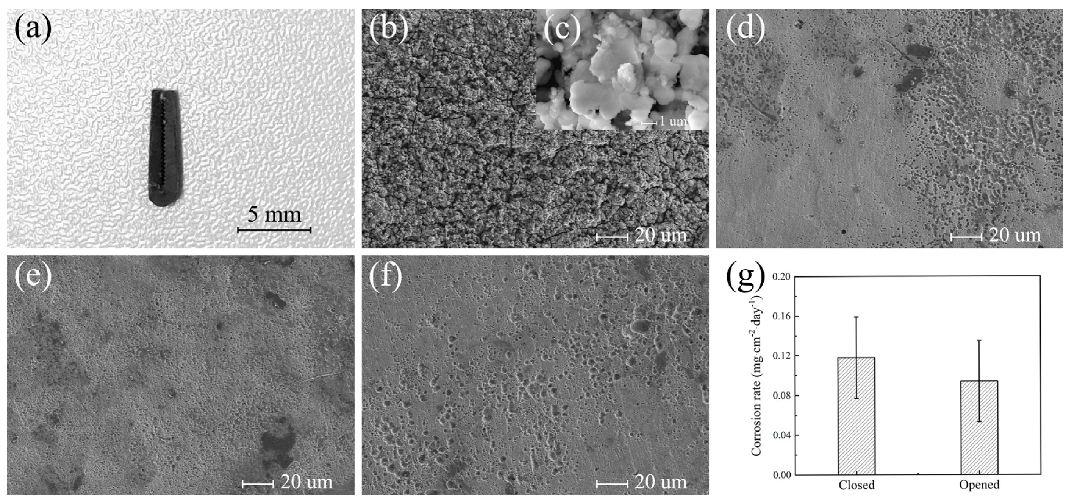 Metals 12 01979 g007 Metals 12 01979 g007