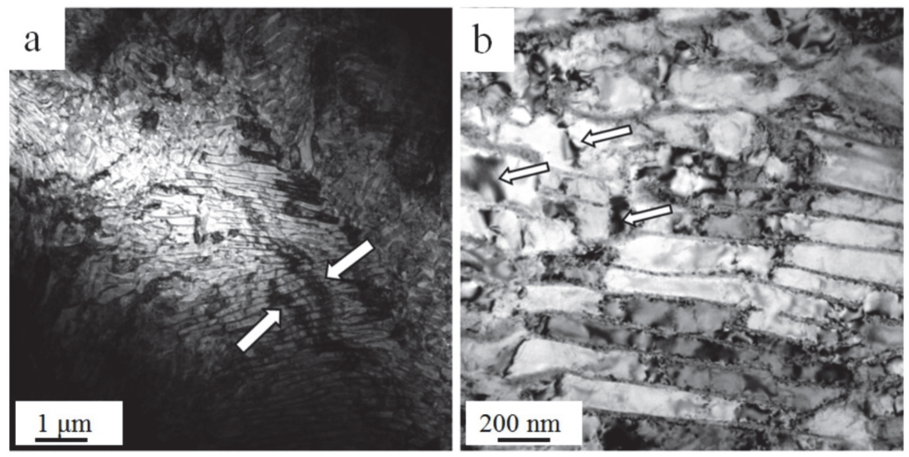 Metals 12 01985 g008