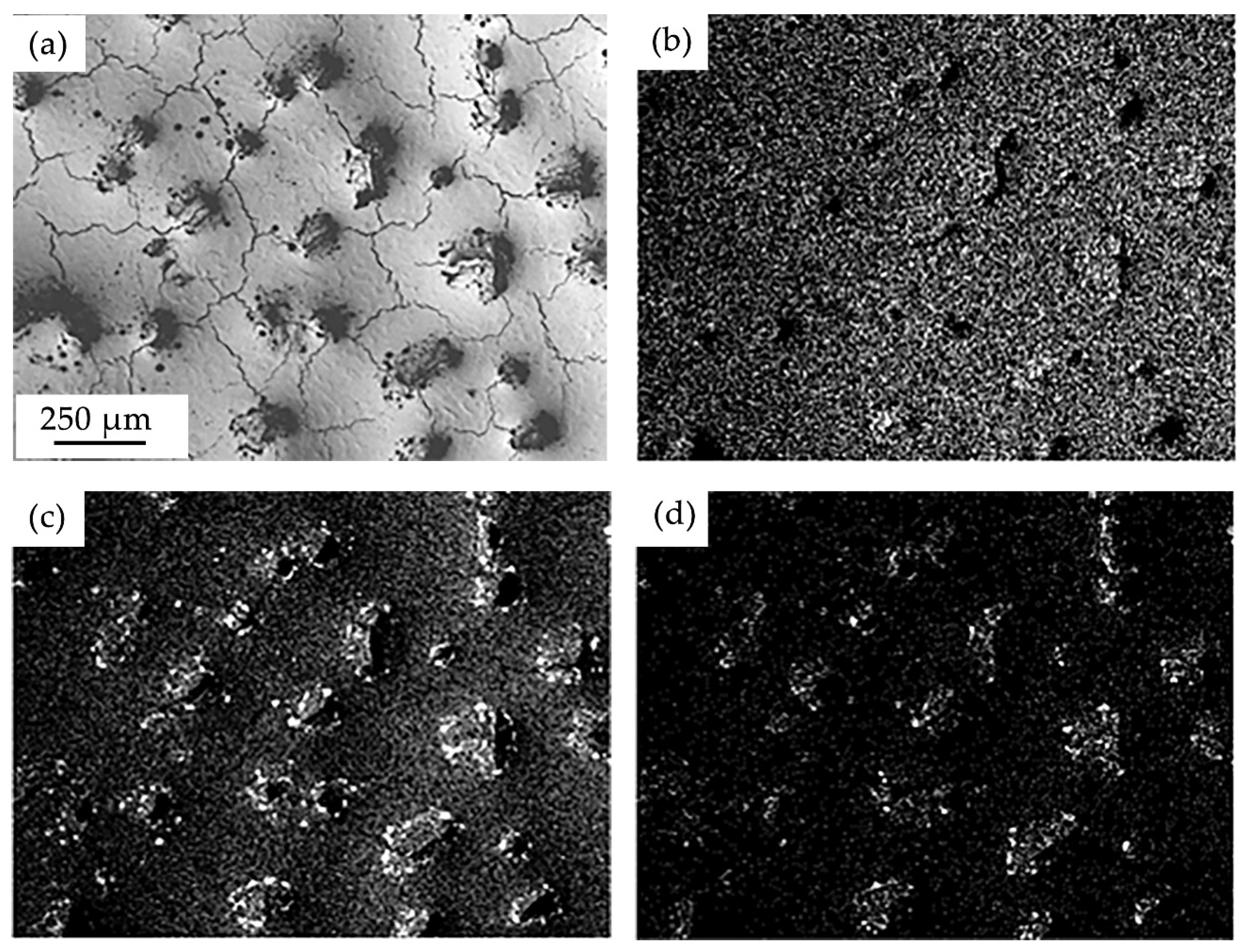 Metals 12 01987 g008 Metals 12 01987 g008