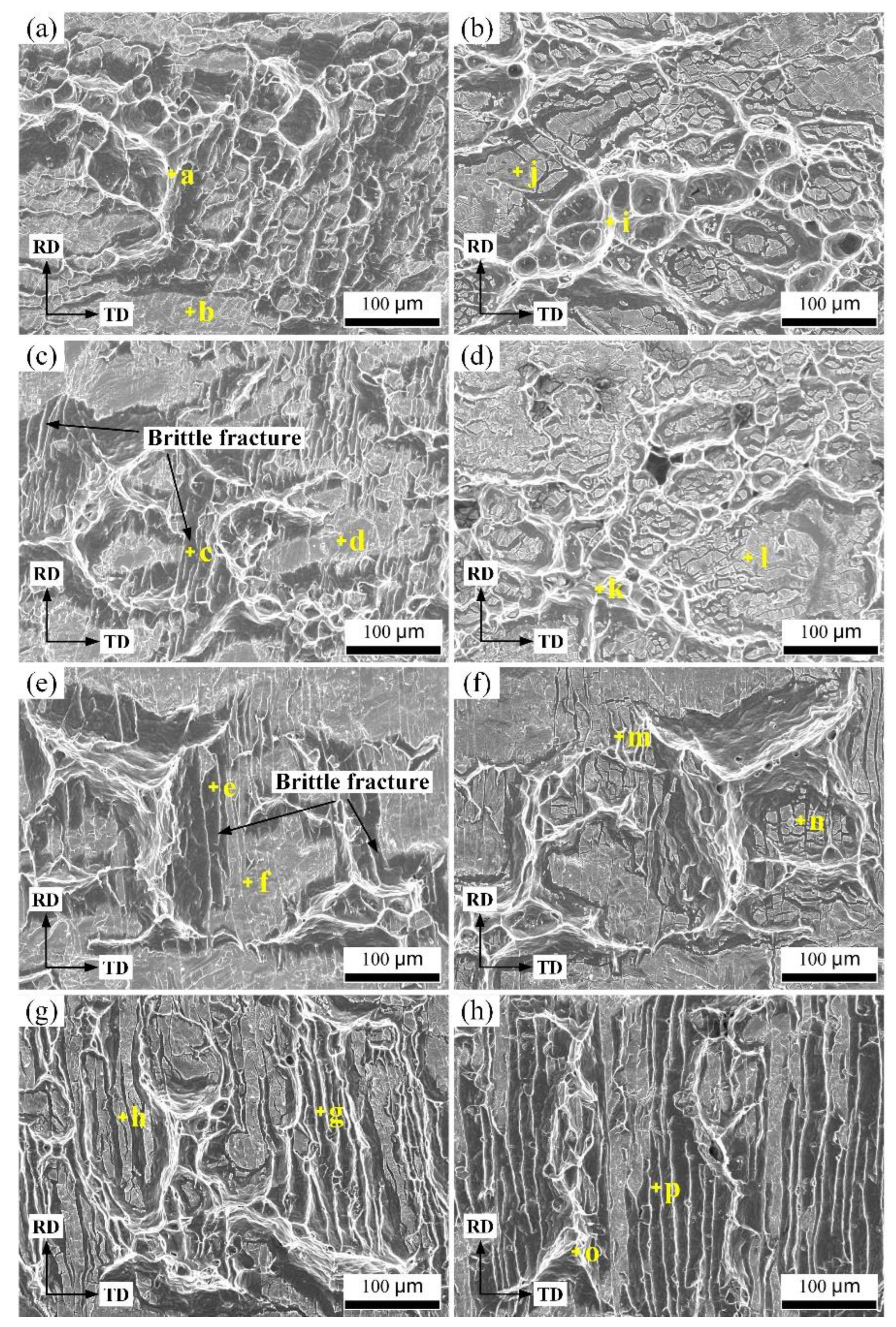 Metals 12 01995 g009