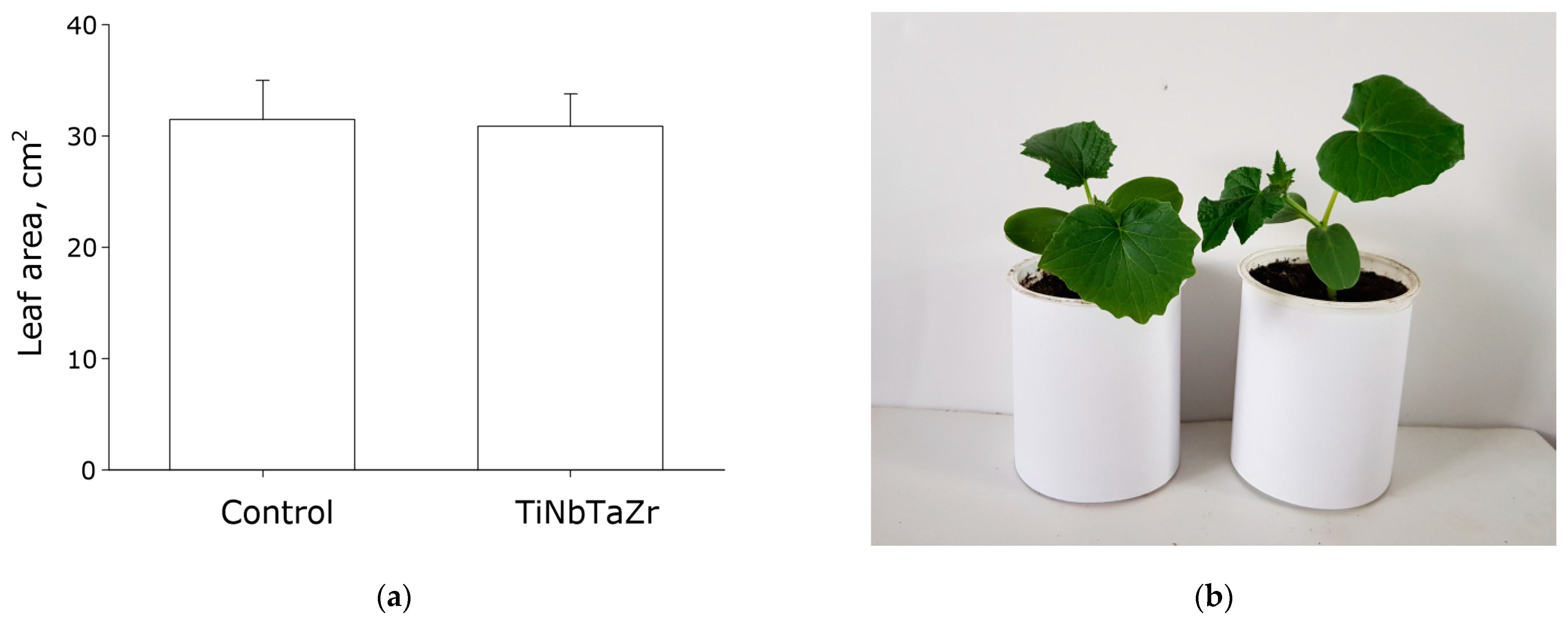 Metals 12 02007 g006