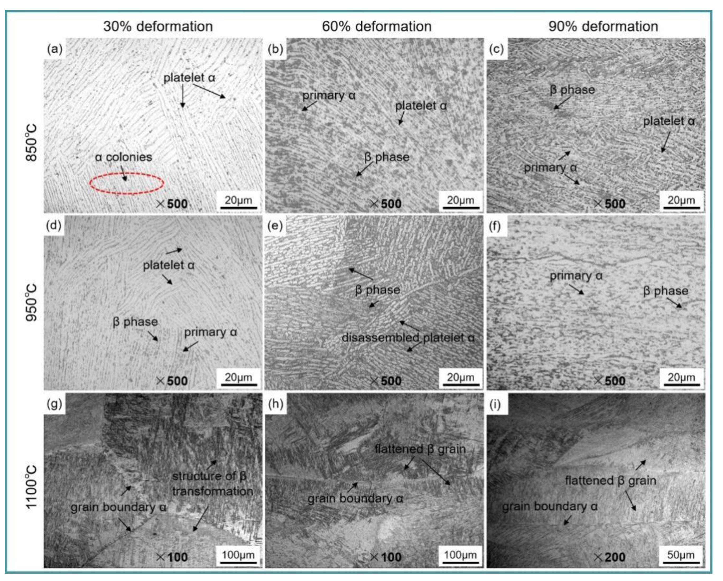 Metals 12 02018 g005