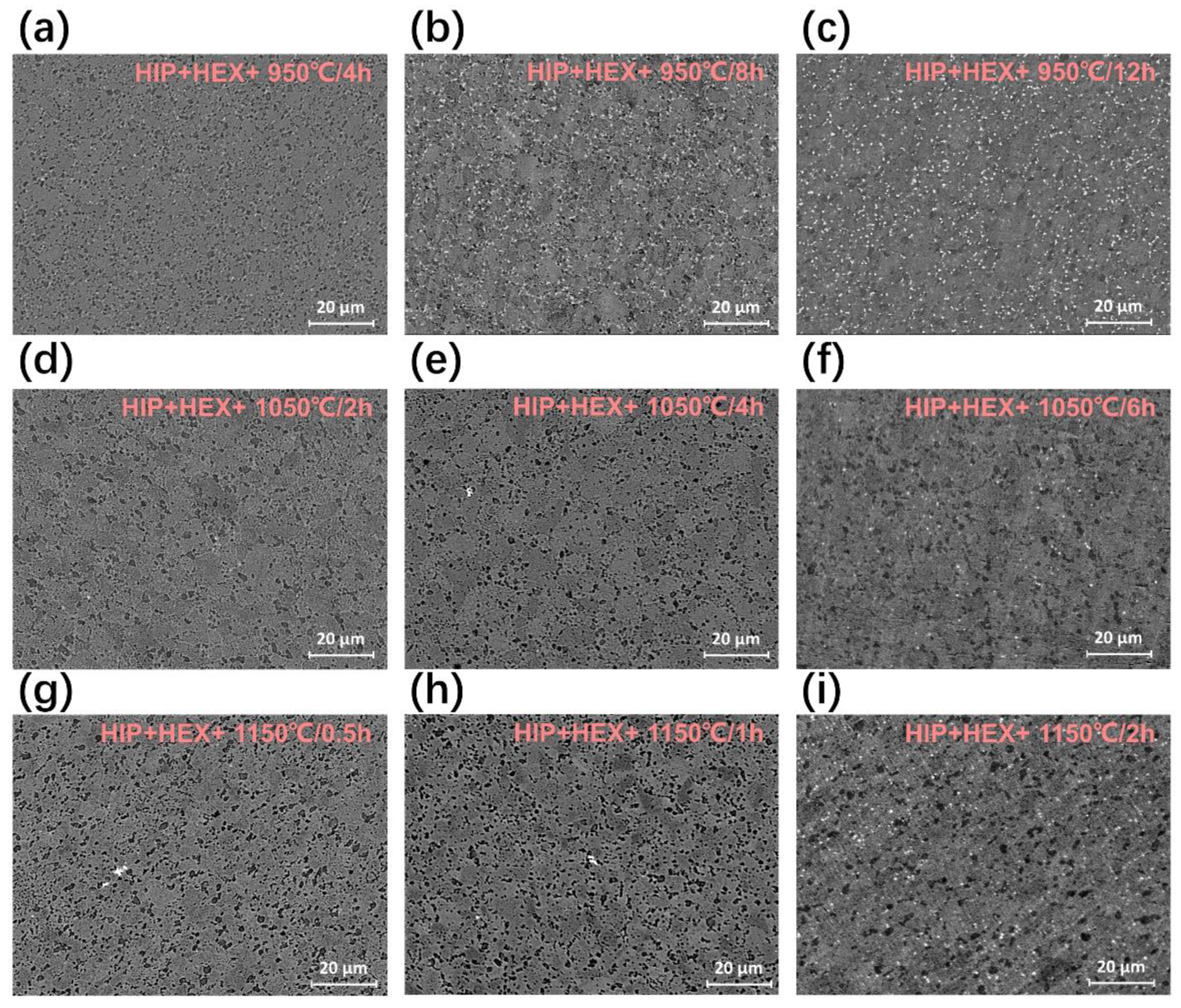 Metals 13 00017 g006