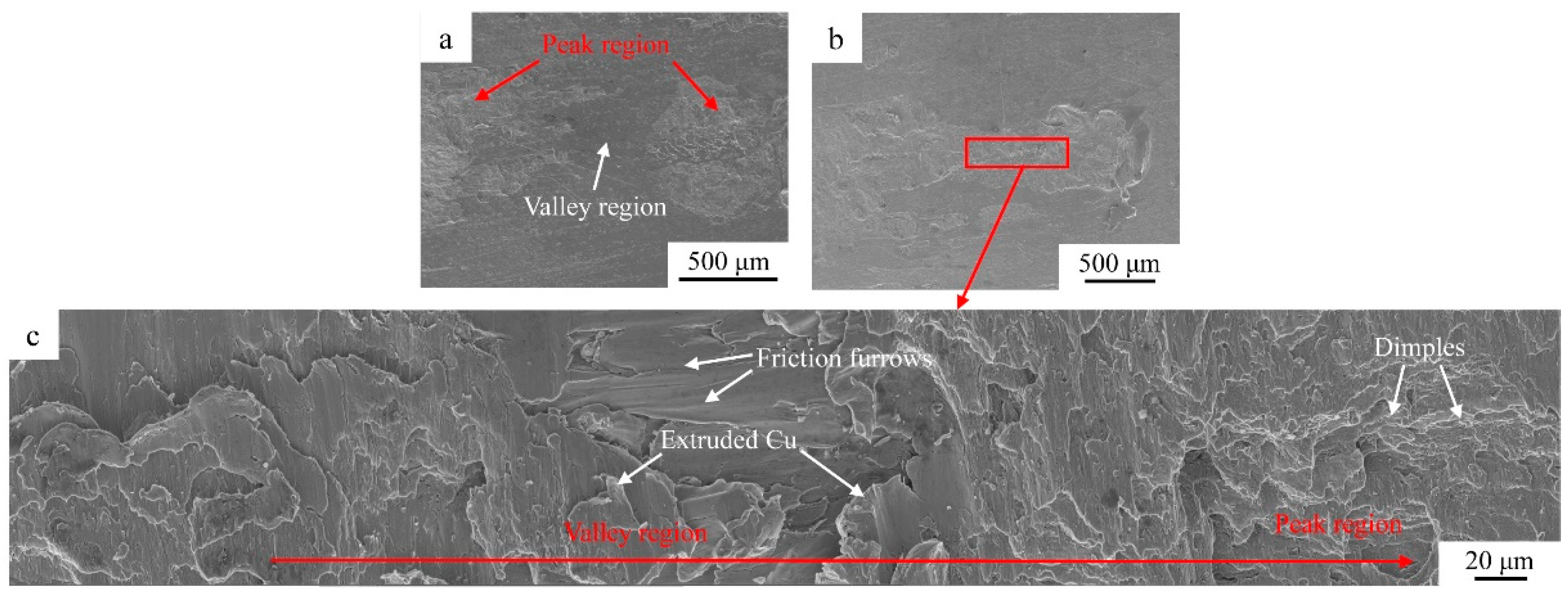 Metals 13 00021 g013