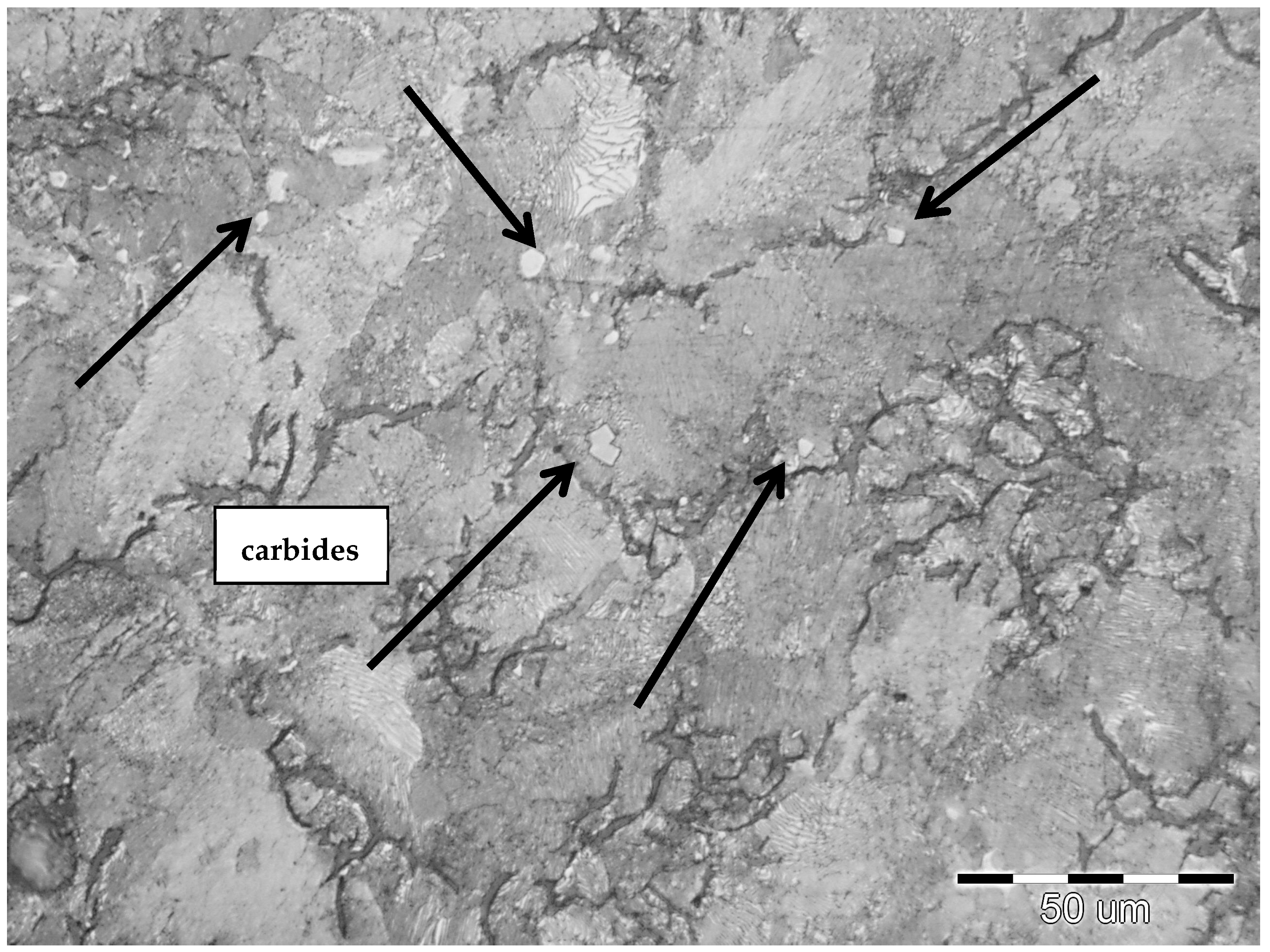 Metals 13 00027 g009 Metals 13 00027 g009