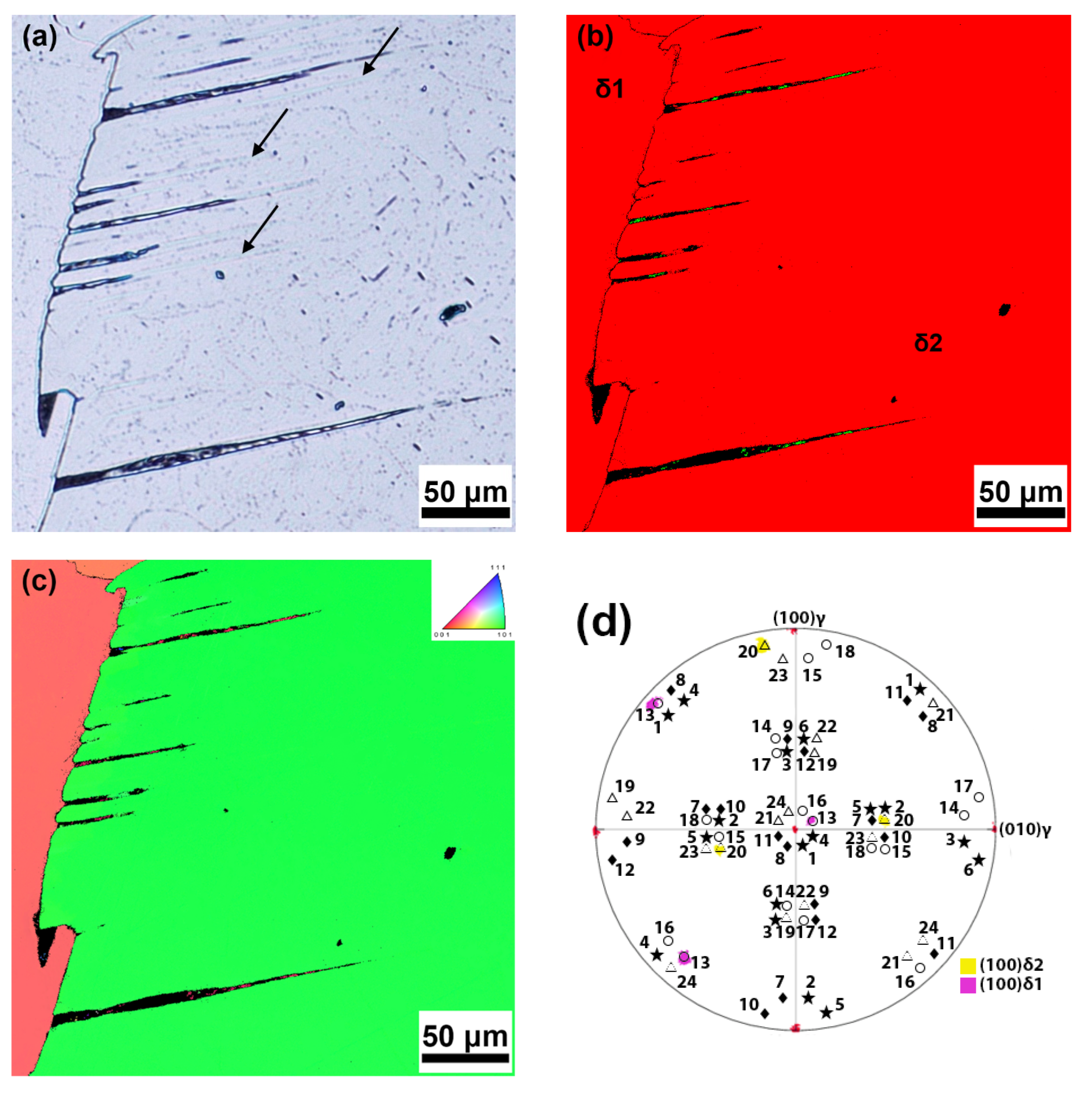 Metals 13 00051 g008