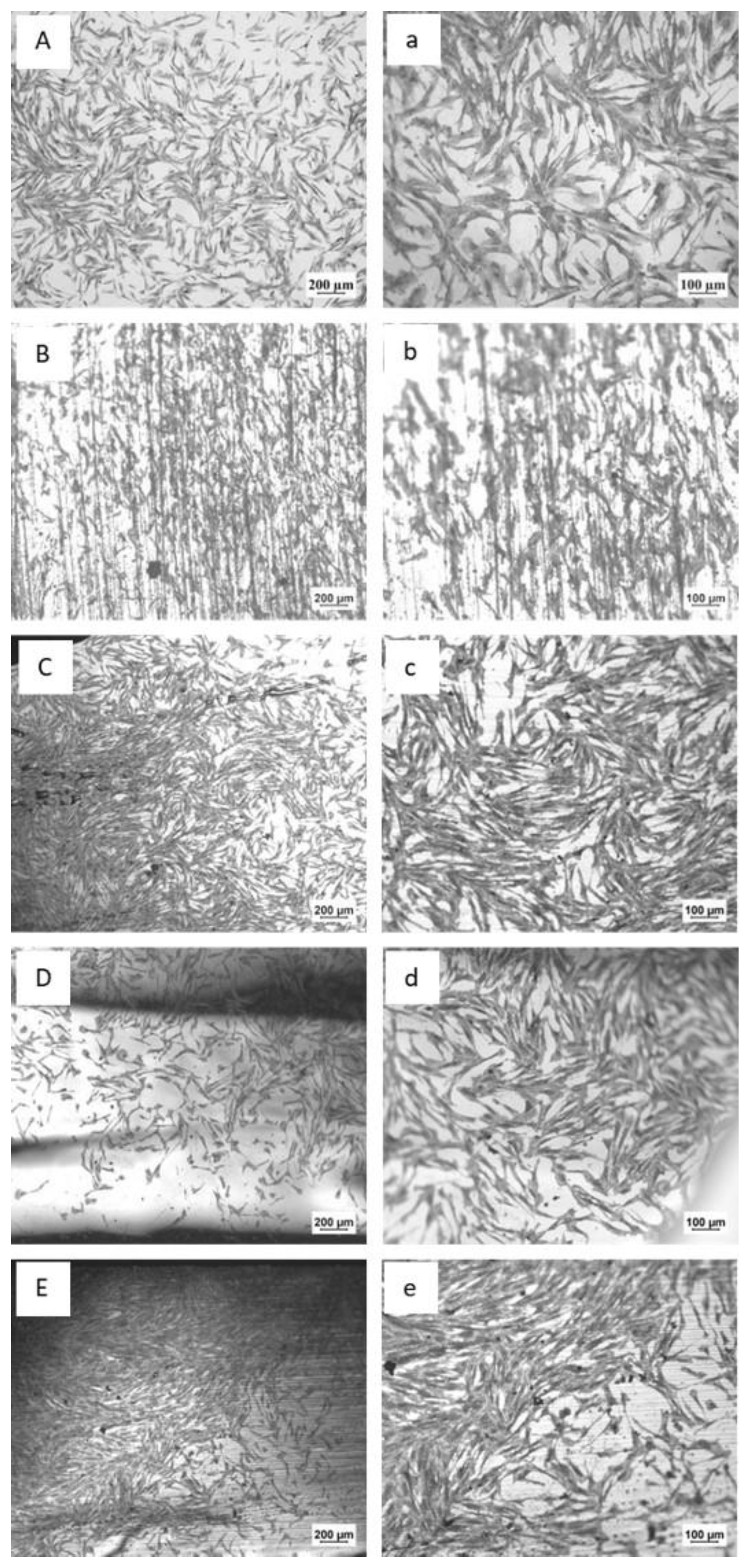 Metals 13 00055 g008
