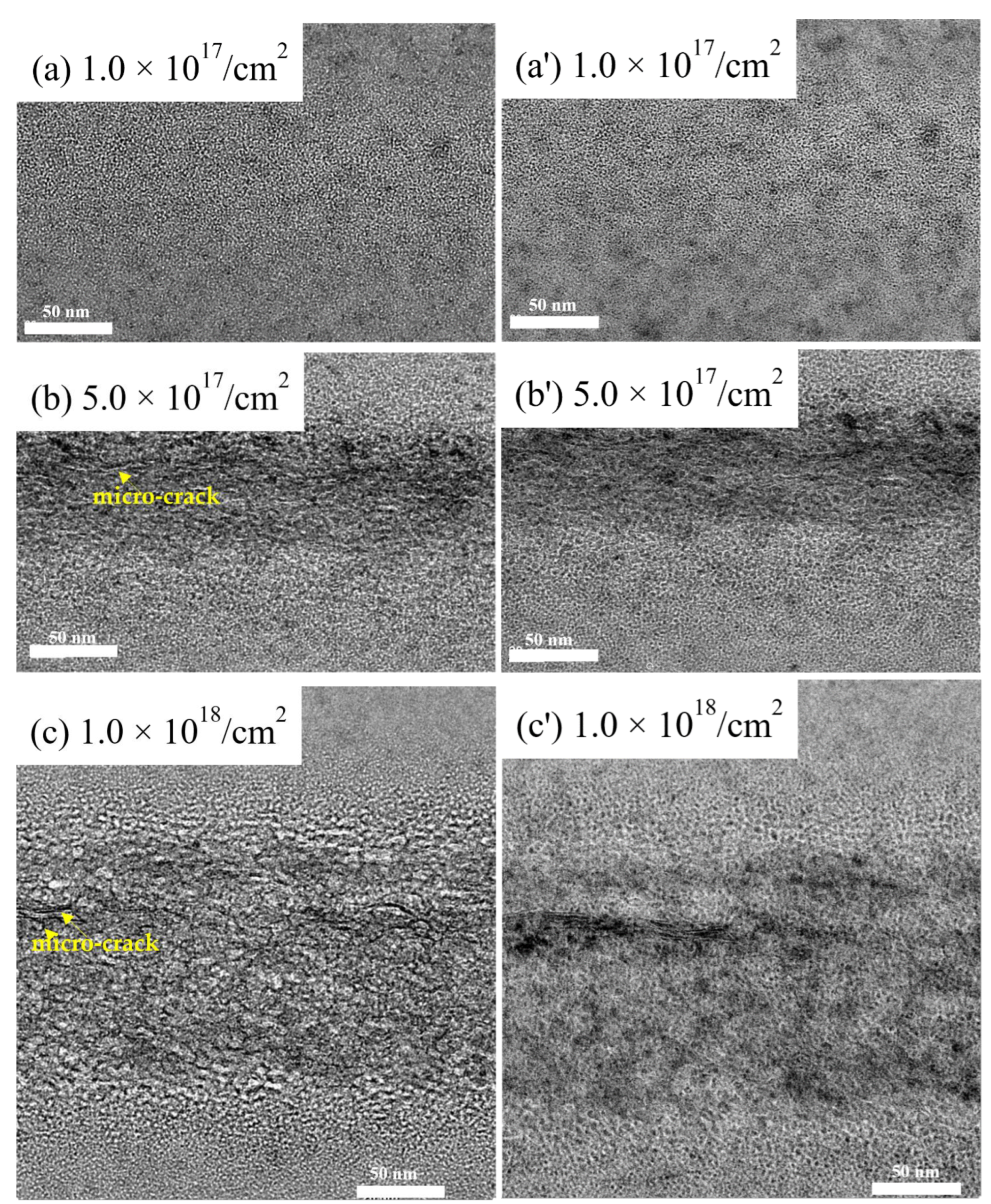 Metals 13 00060 g006