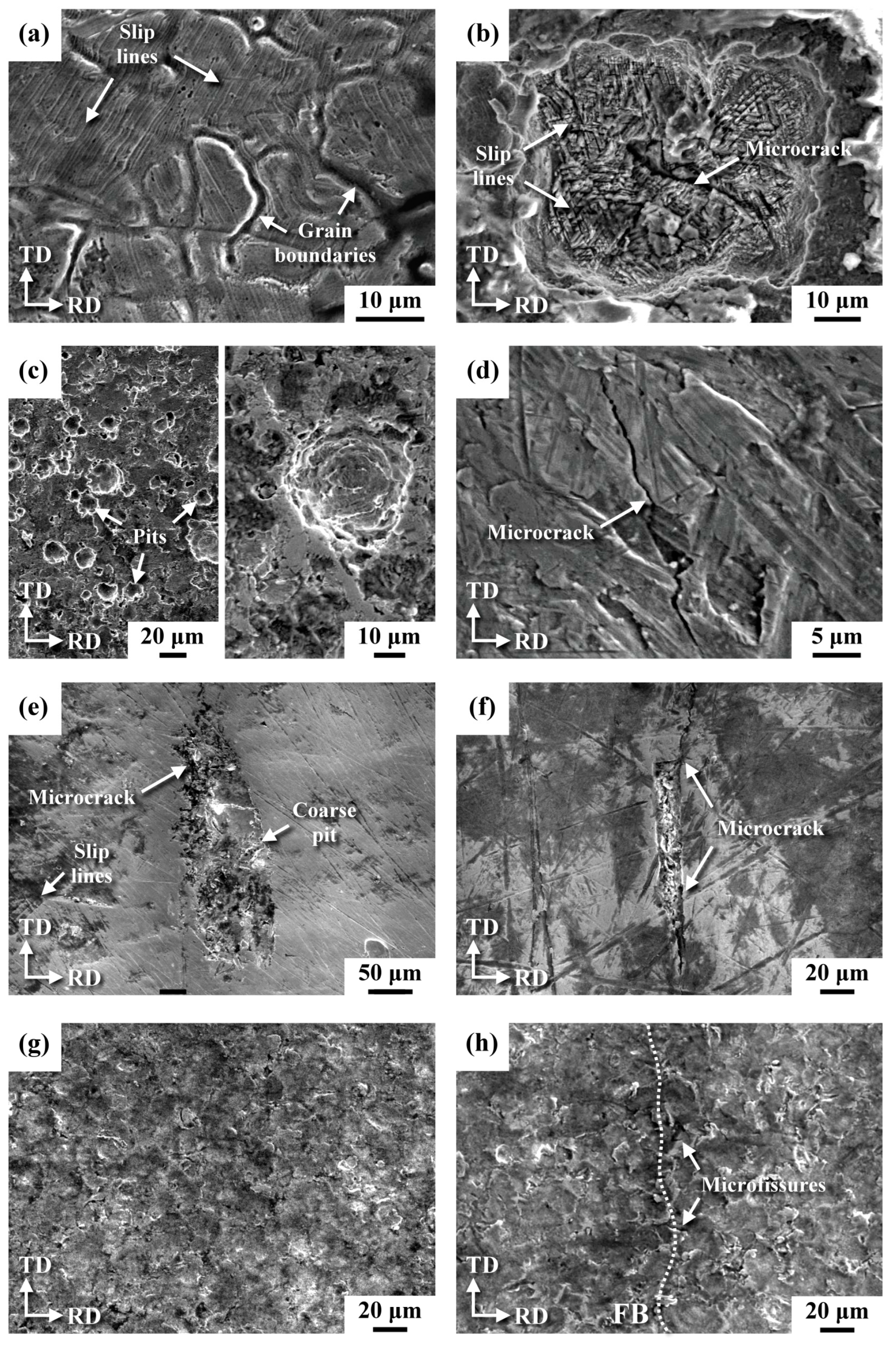 Metals 13 00069 g012