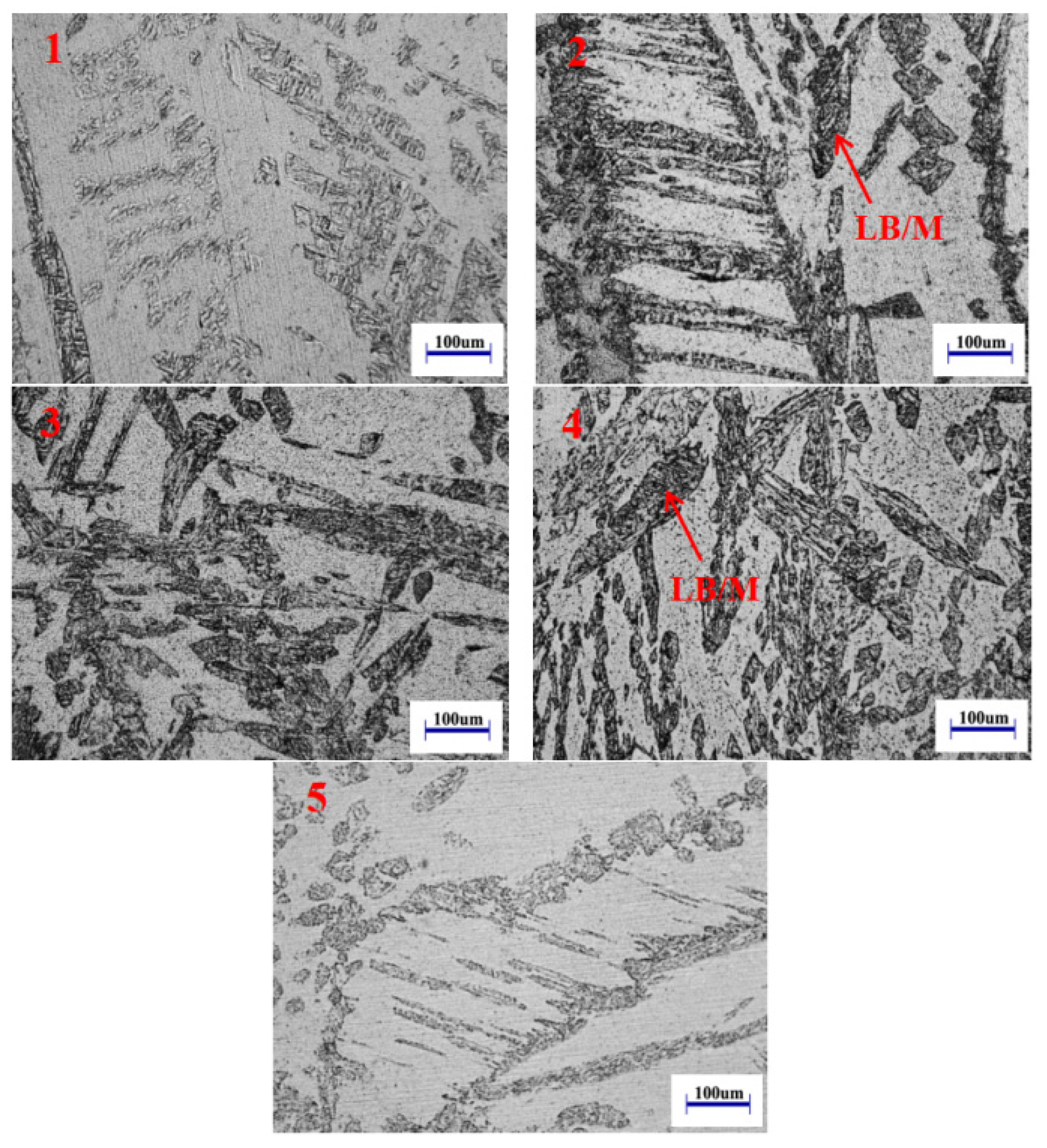 Metals 13 00081 g010
