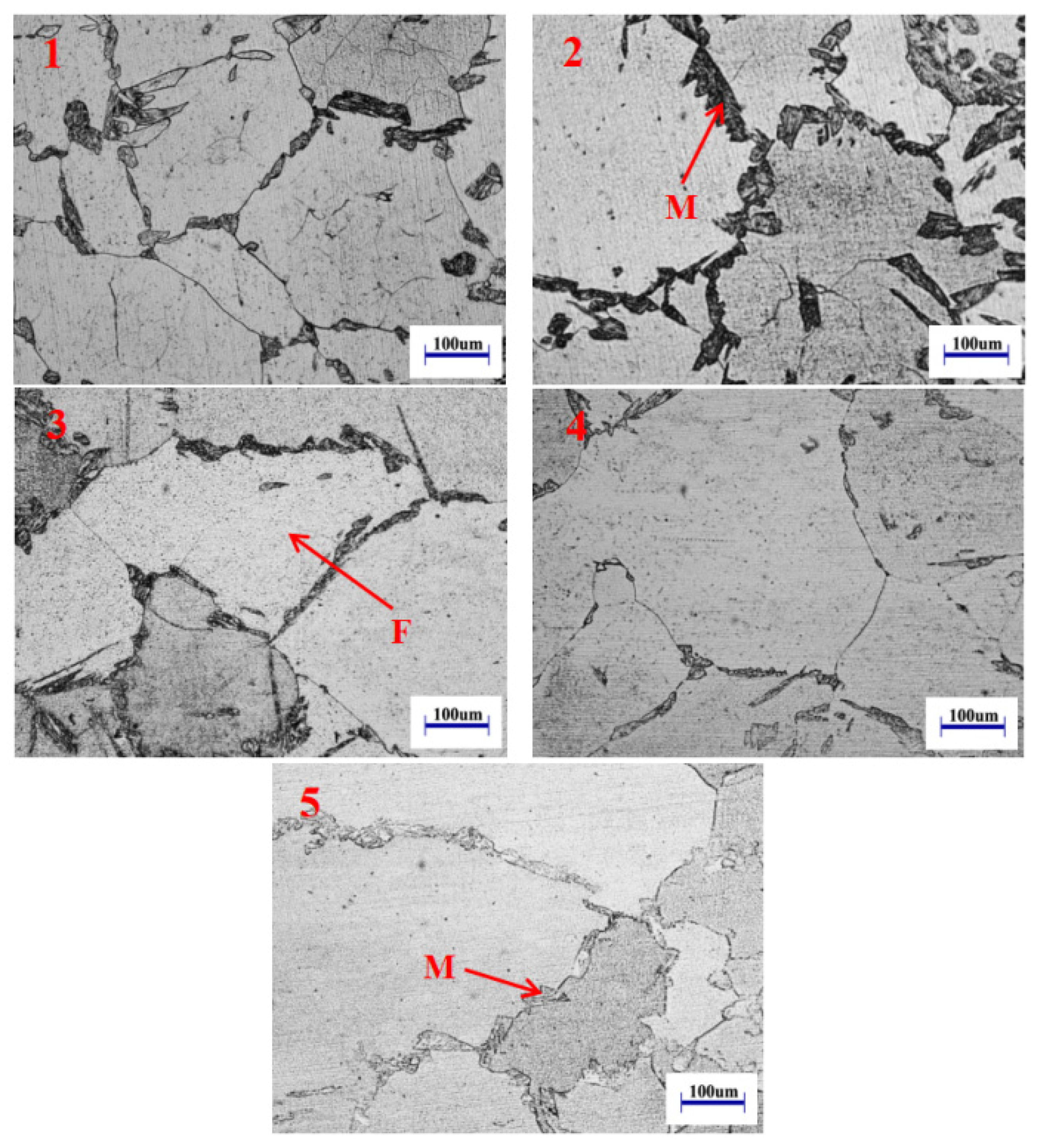 Metals 13 00081 g011