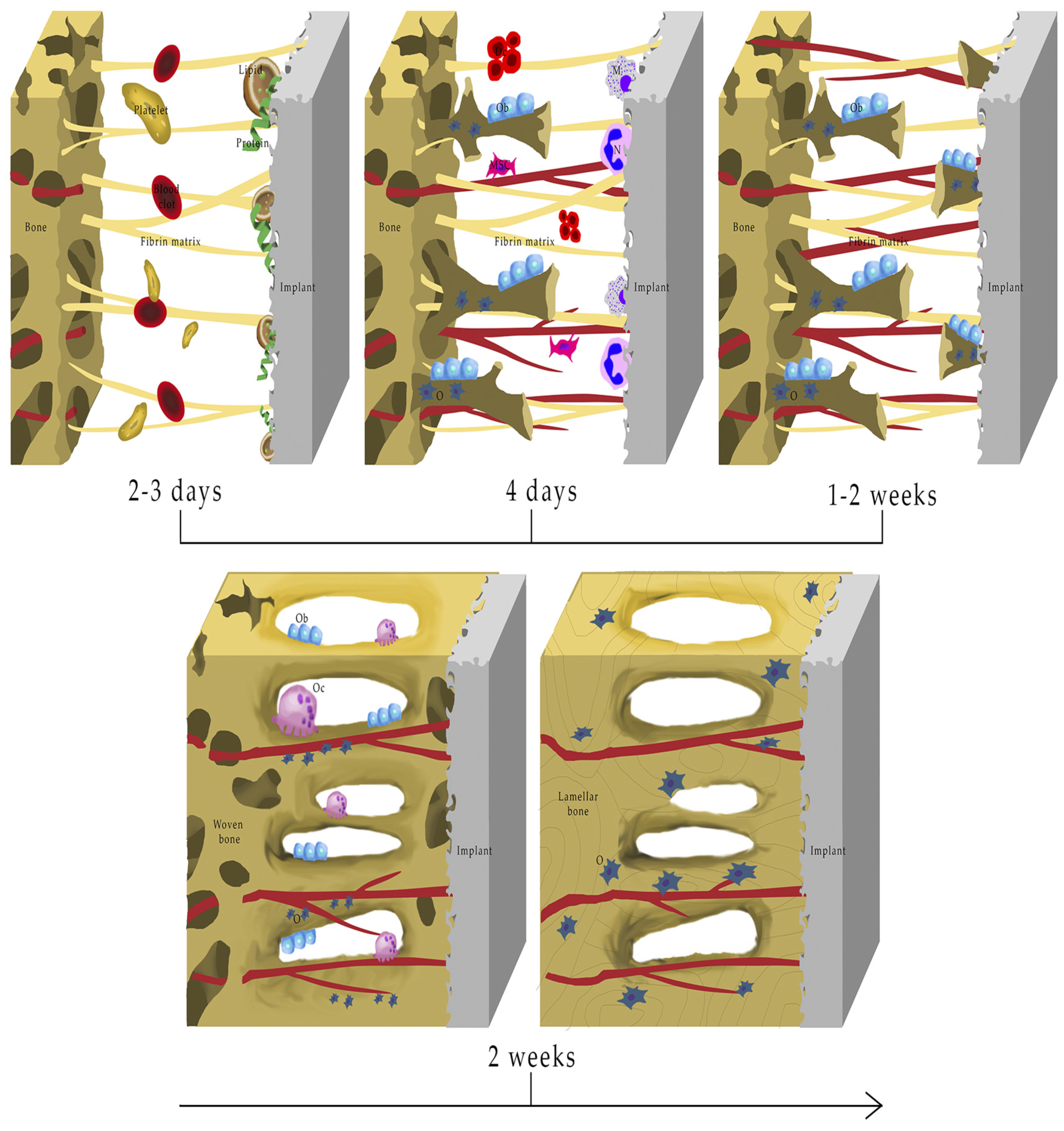 Metals 13 00082 g002