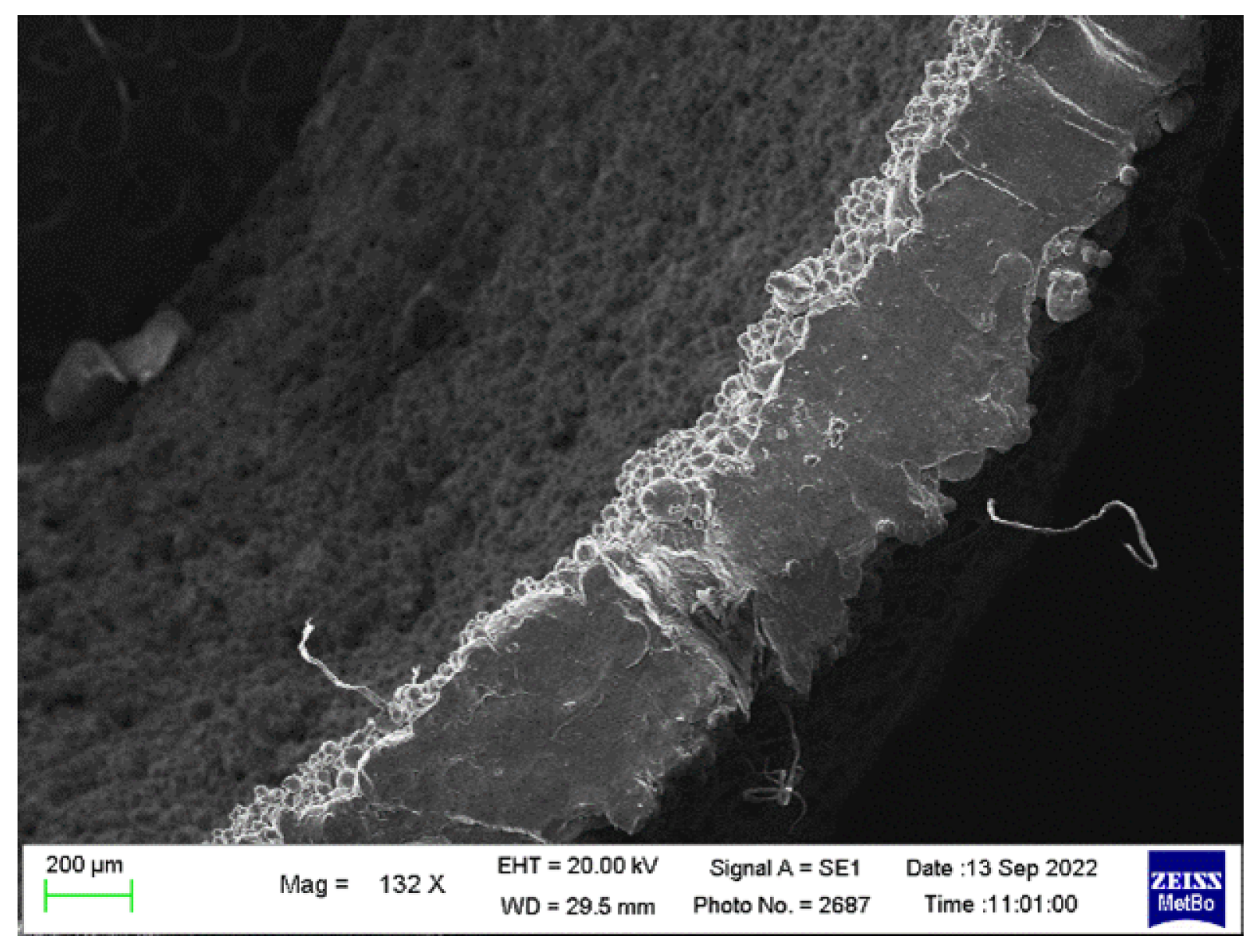 Metals 13 00126 g005 Metals 13 00126 g005