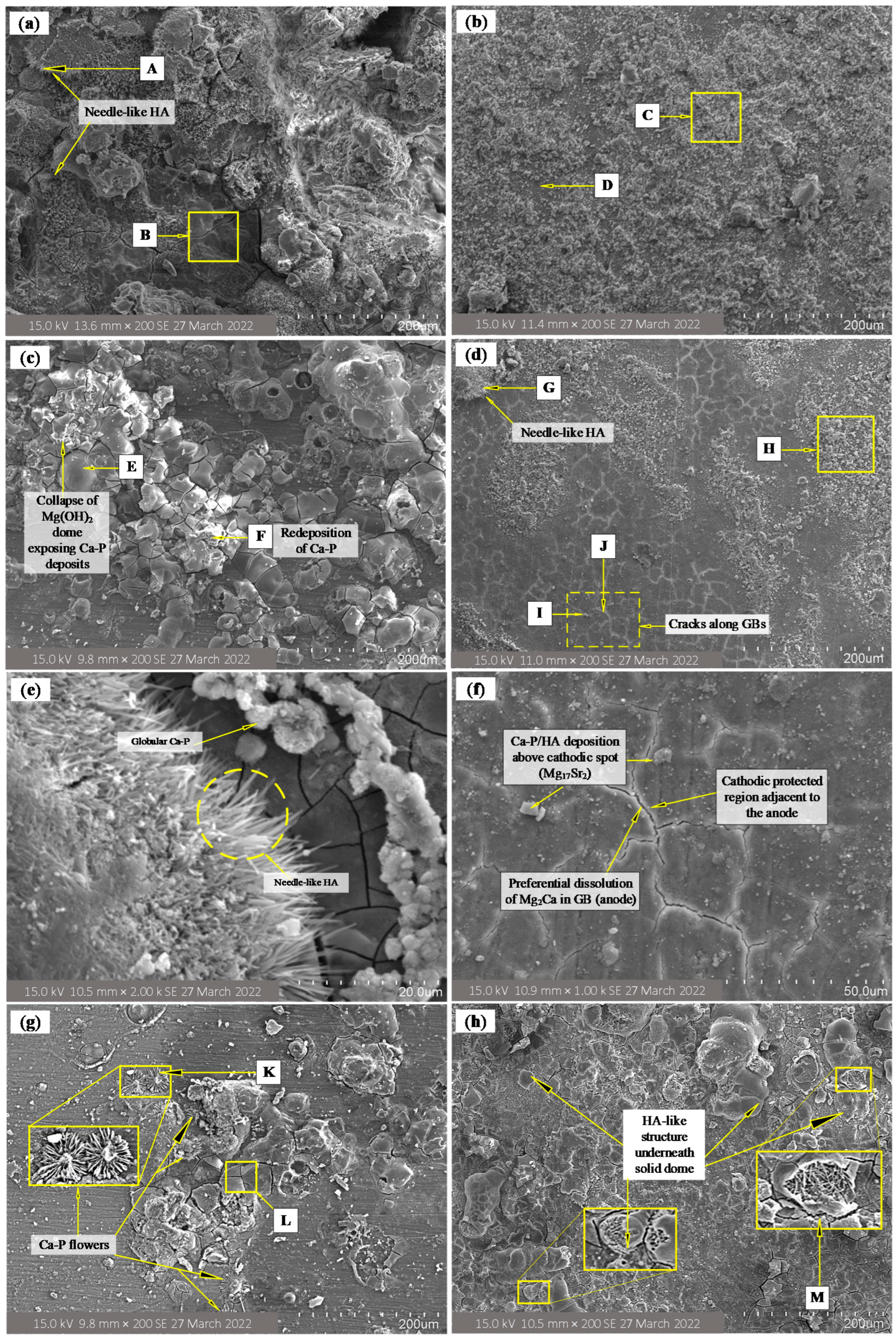 Metals 13 00136 g004 Metals 13 00136 g004