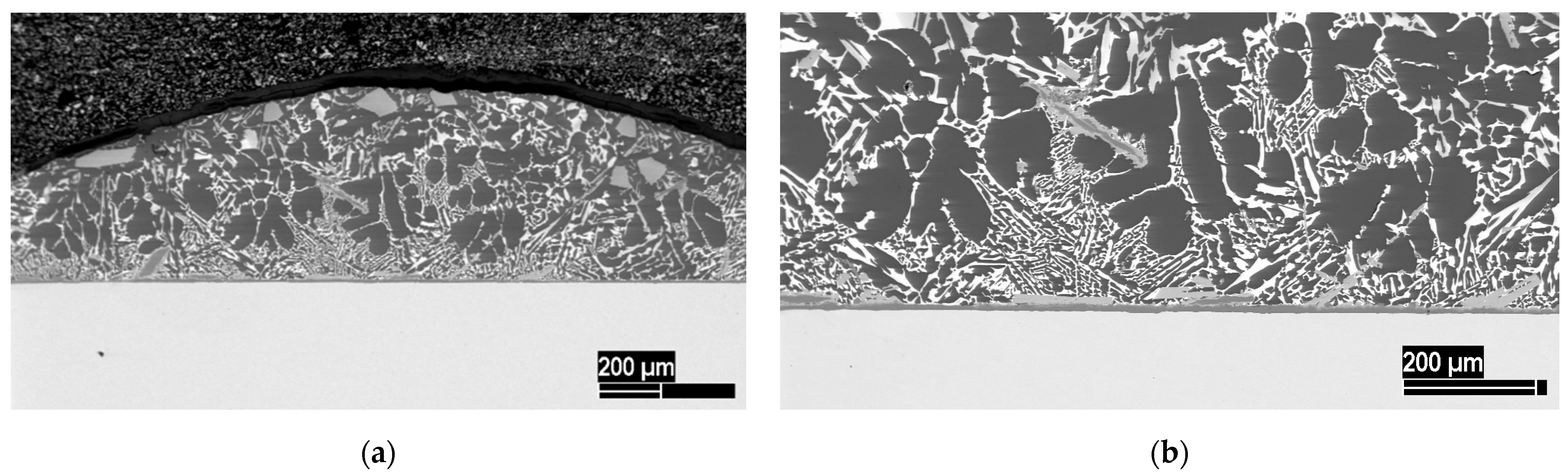 Metals 13 00149 g005